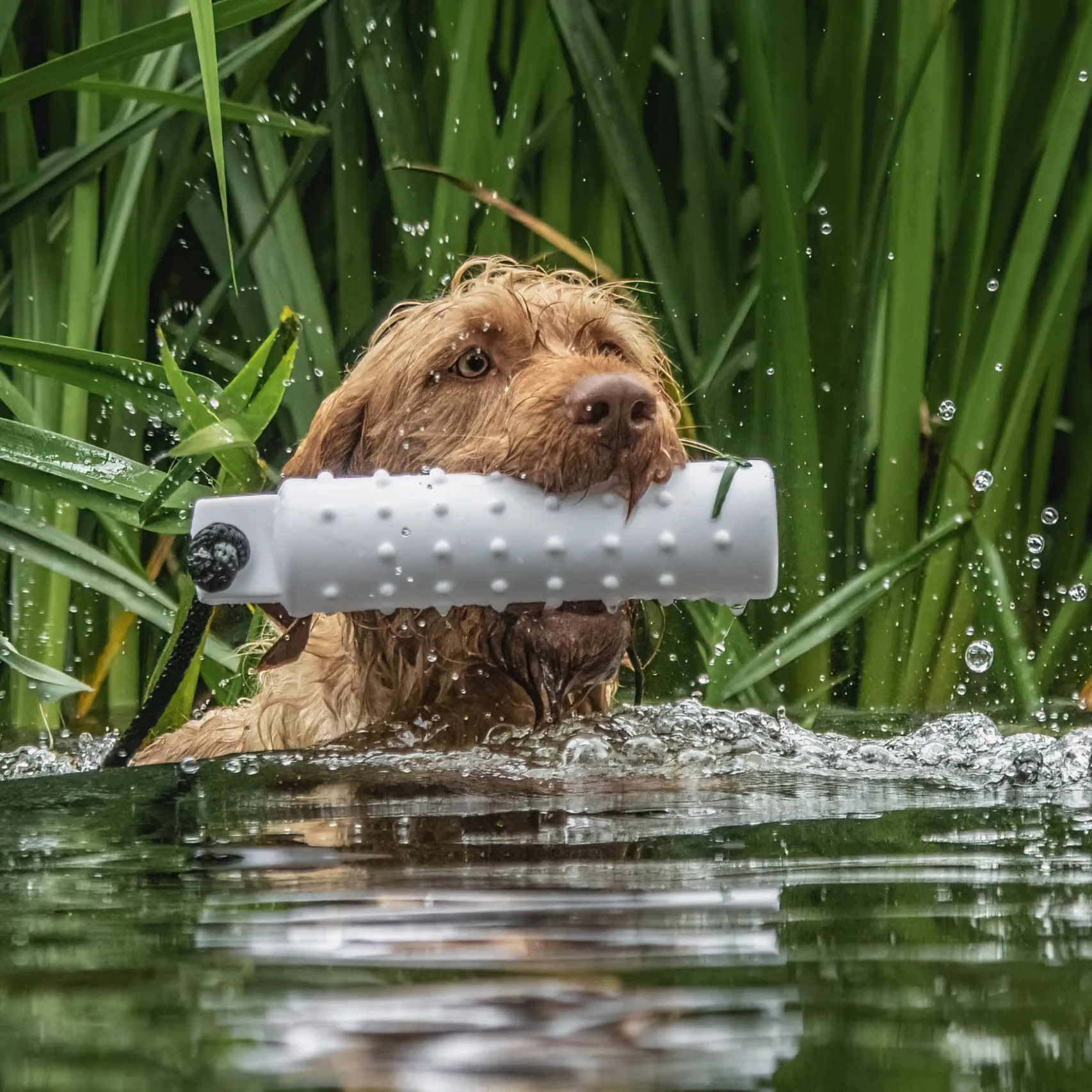 WATER DUMMY 2″ & 3″