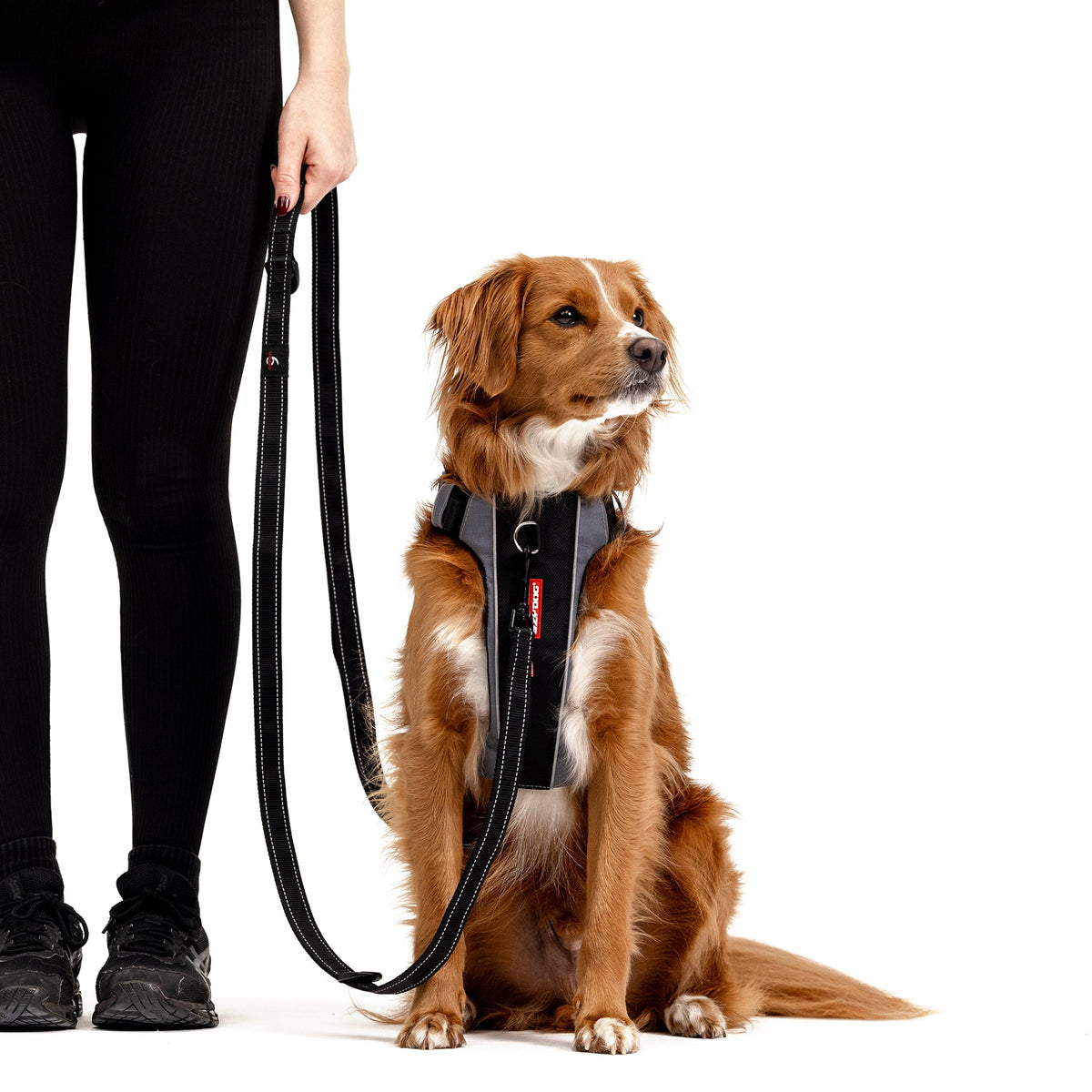 Vario 6 Multi-Function Leash