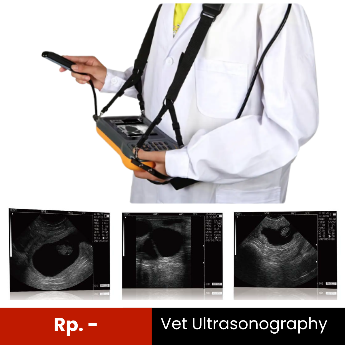 FarmScan® L60 Compact Handhold Veterinary Ultrasound