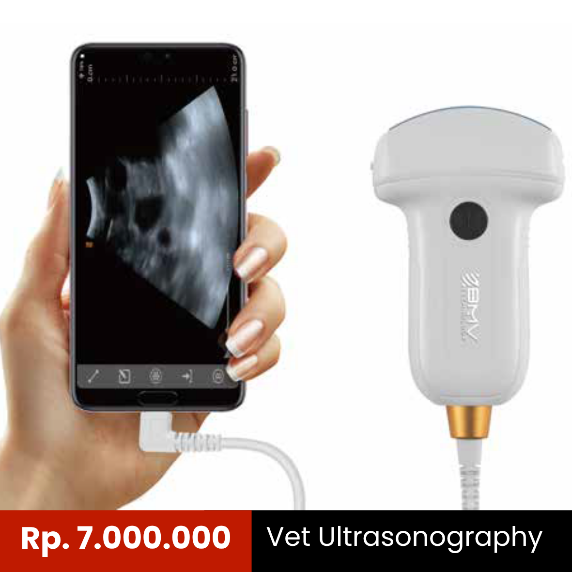 Portable Vet USG BMV MX 5 Go