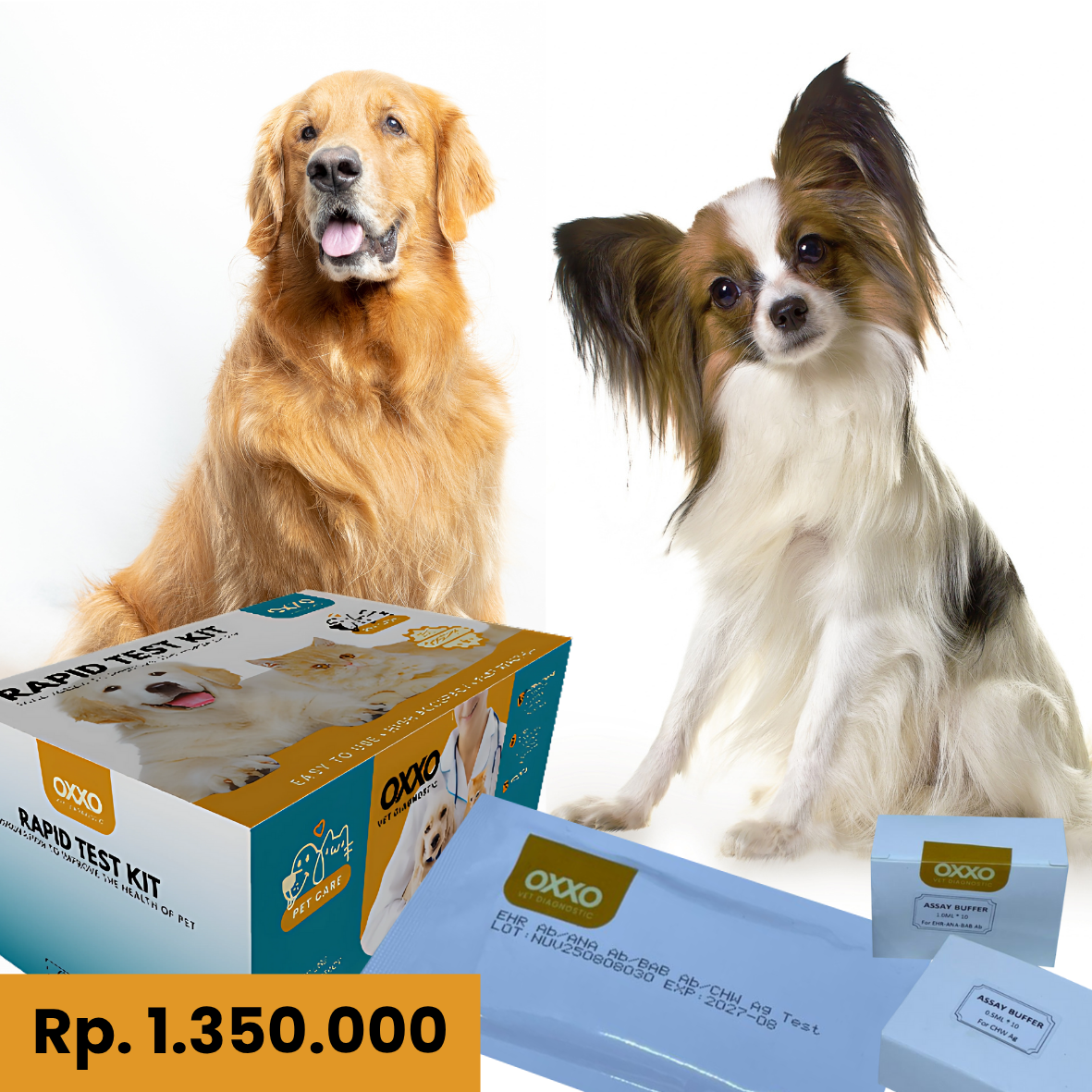 E.Canis / Anaplasma / CHW / Babesia