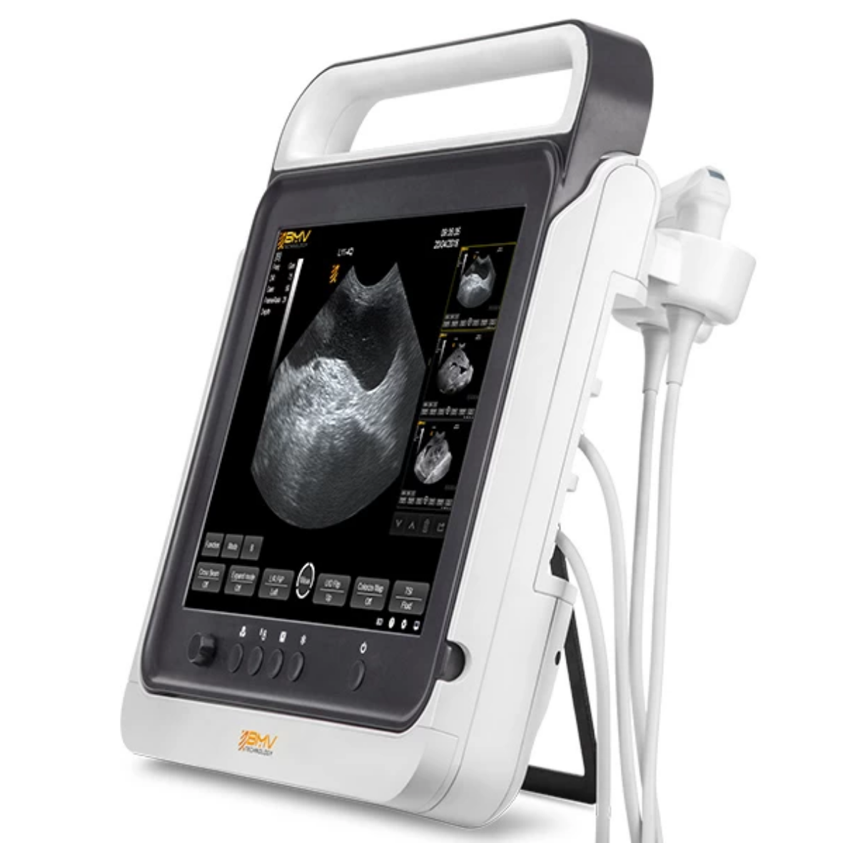 Compact Pad Touch Veterinary Ultrasound BMV PT 50A
