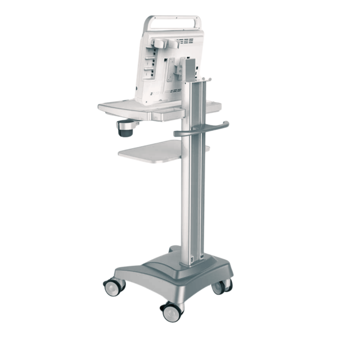 Compact Pad Touch Veterinary Color Doppler Ultrasound BMV PT50C
