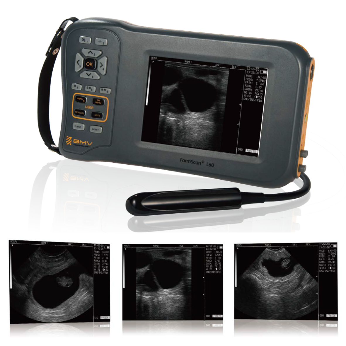 FarmScan® L60 Compact Handhold Veterinary Ultrasound