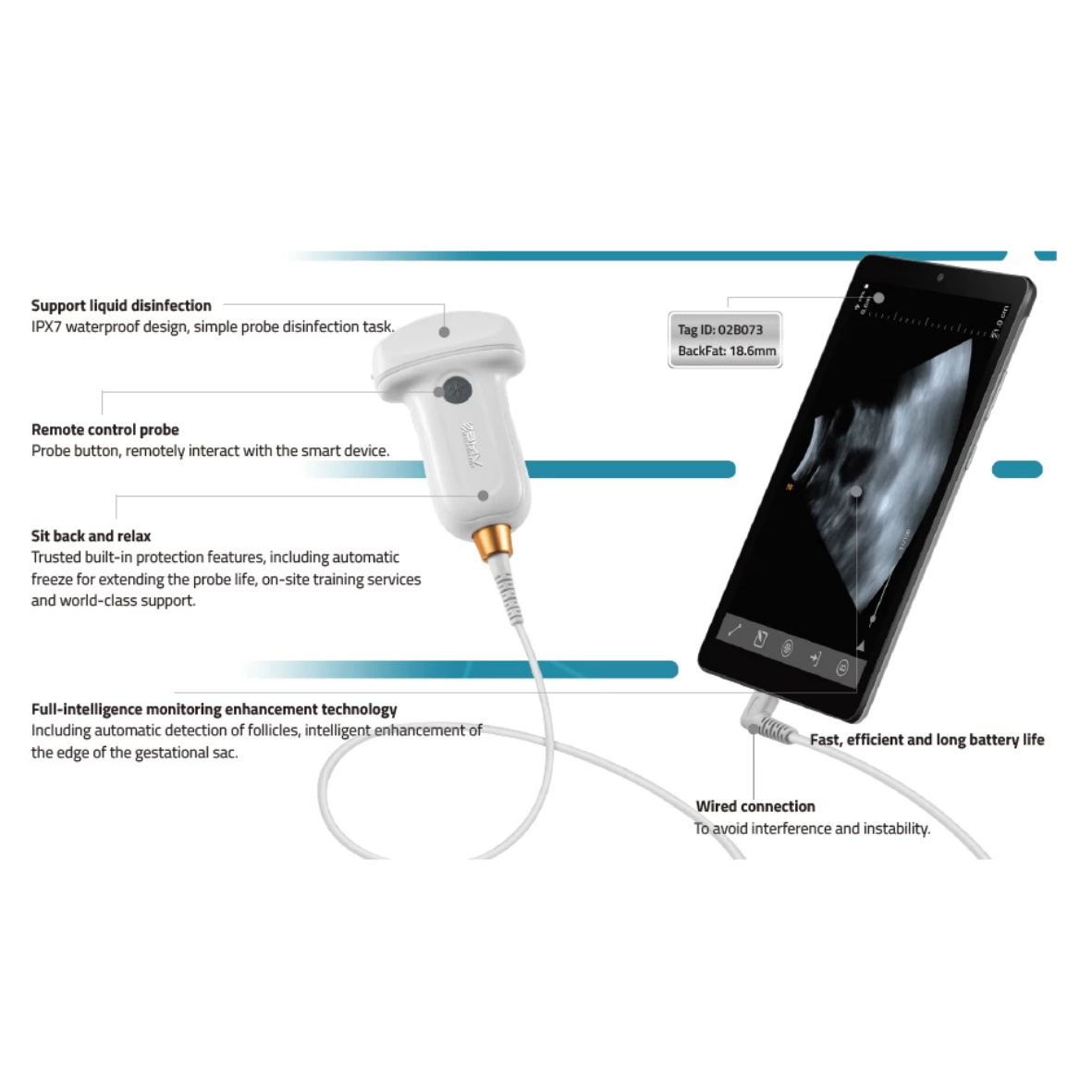 Portable Vet USG BMV MX 5 Go
