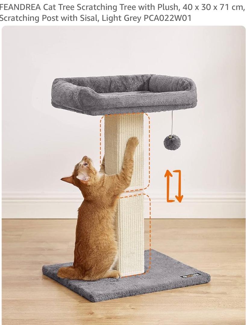 Cat Scratching Tower