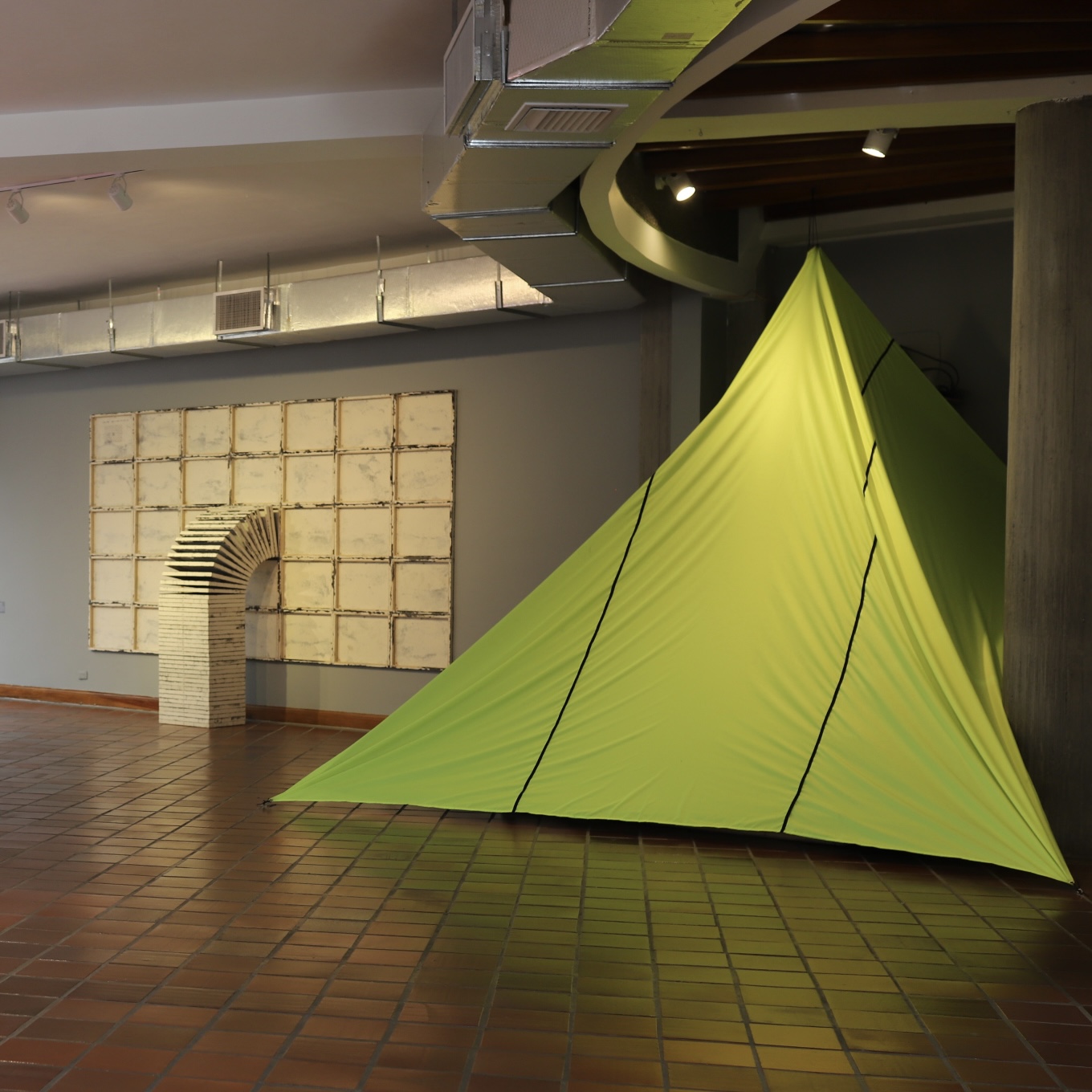 Ensayo sobre el fototrampeo