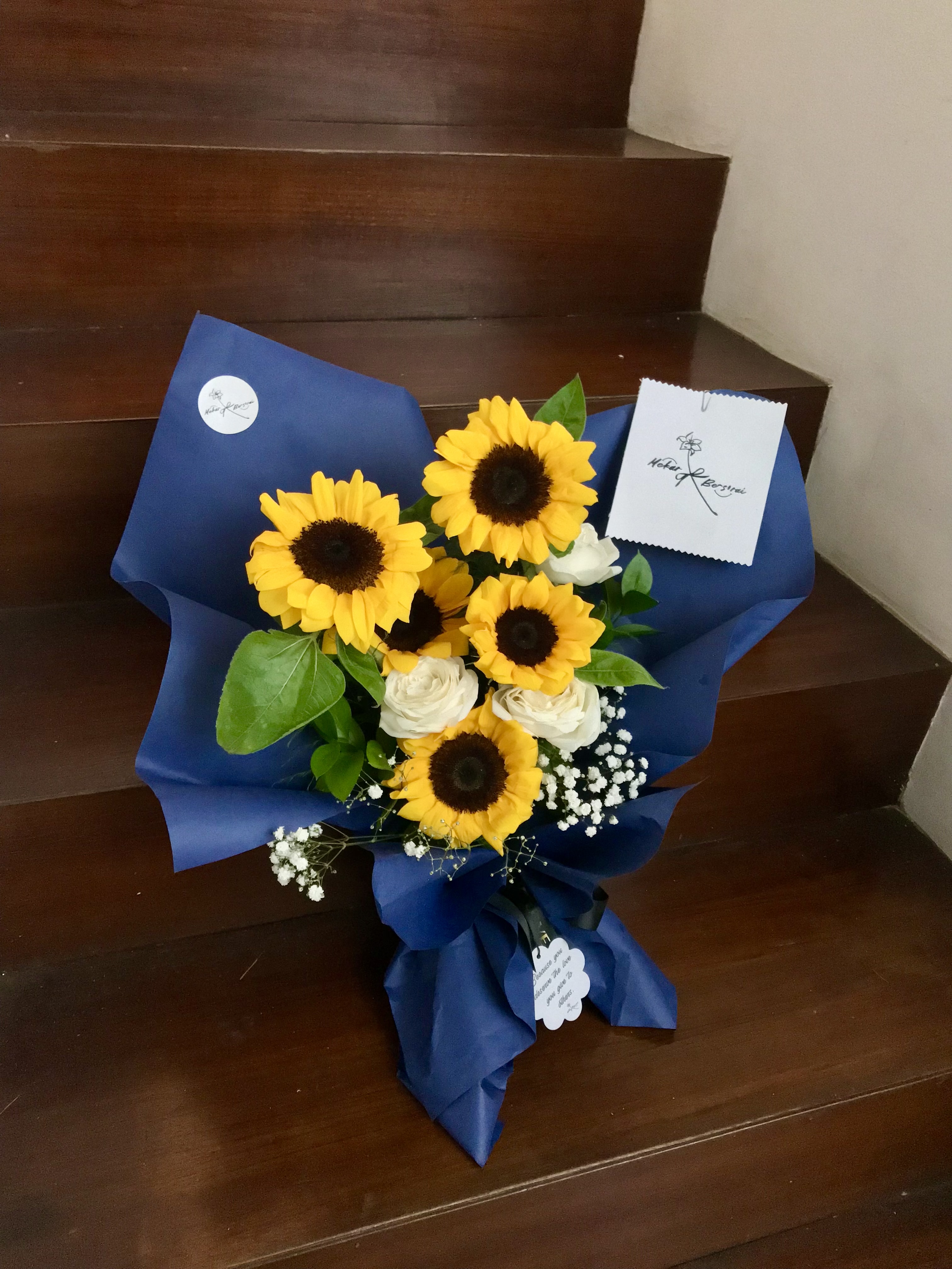 Sunshine in the Dark