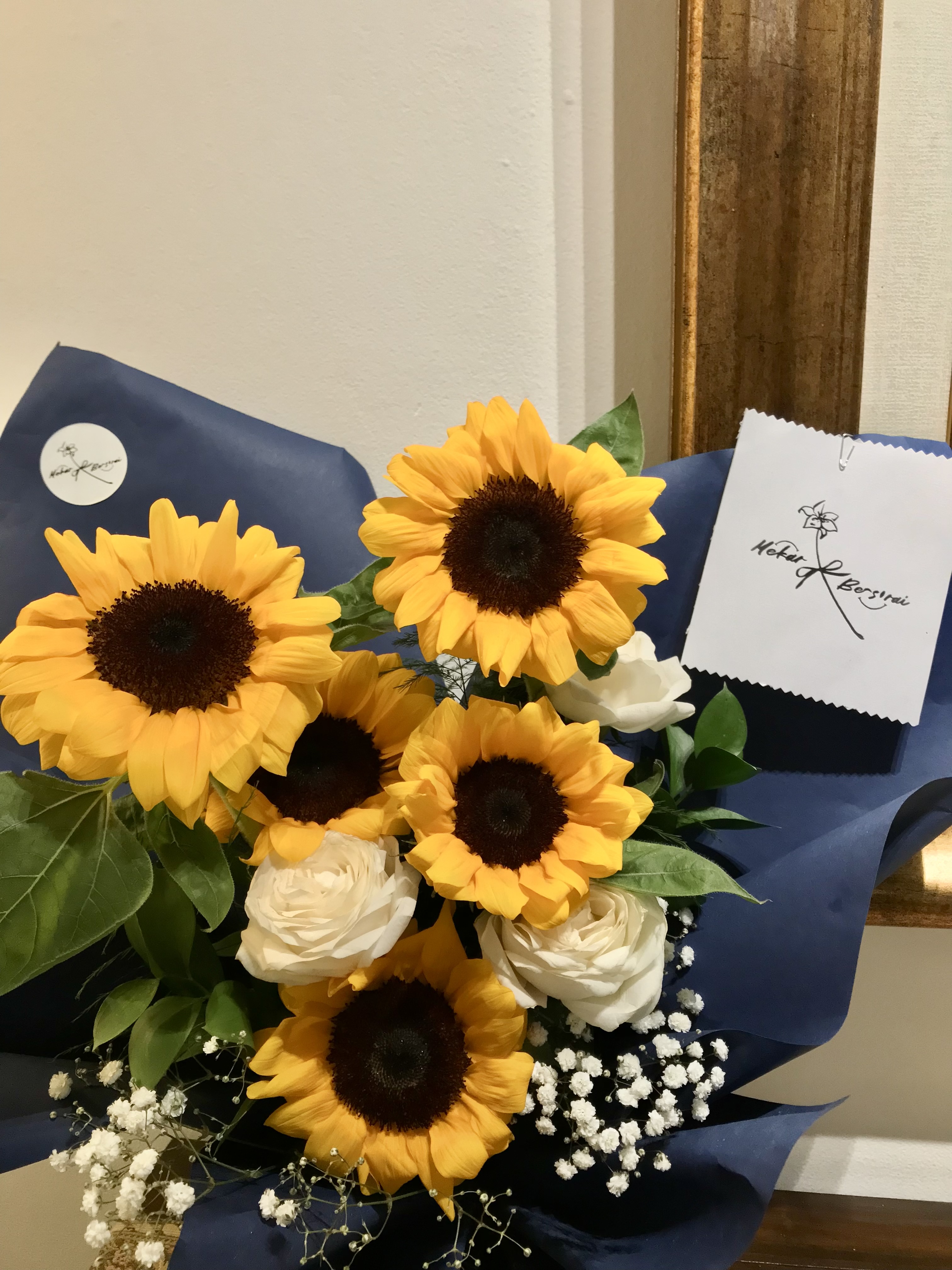 Sunshine in the Dark