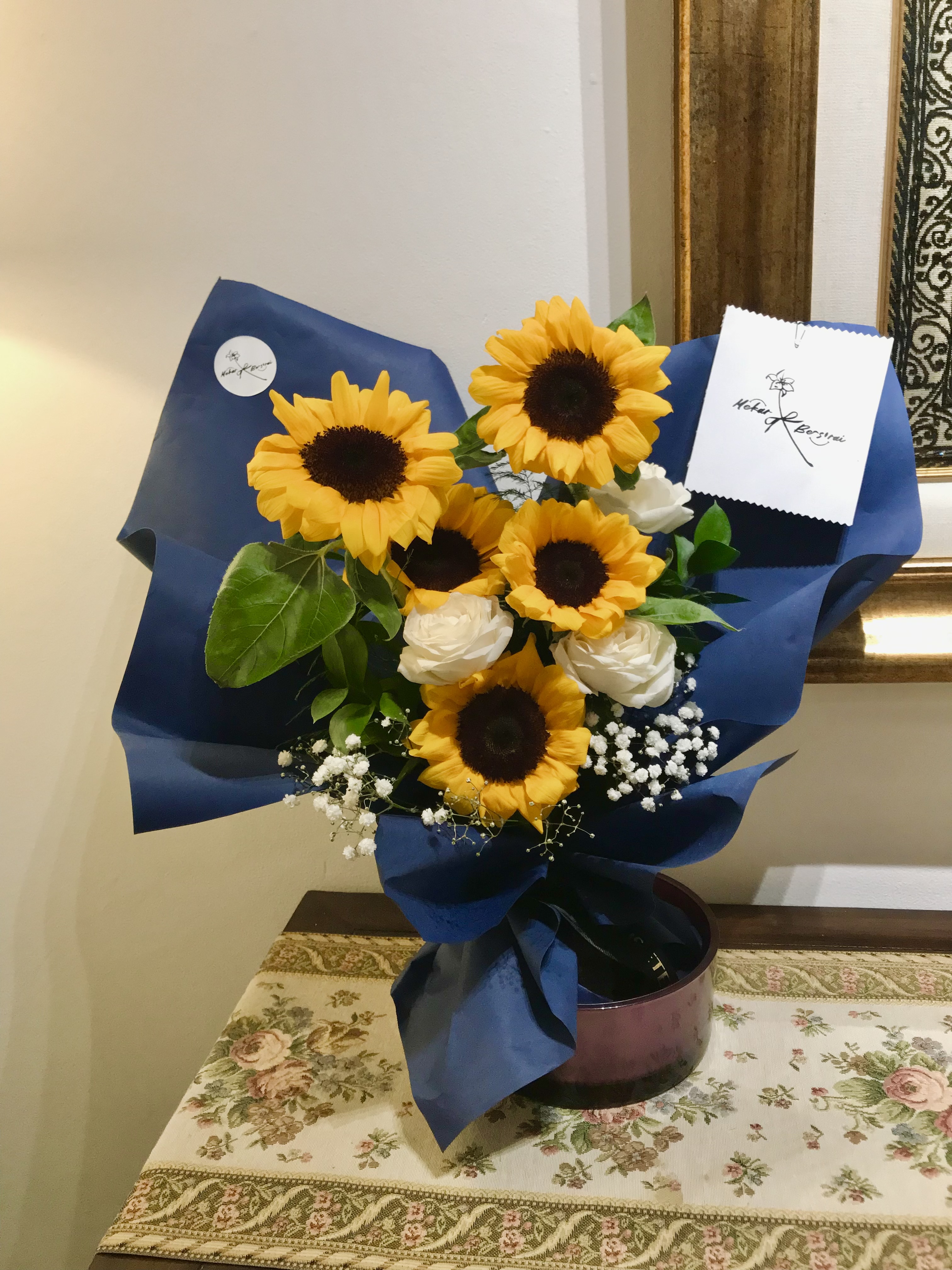 Sunshine in the Dark