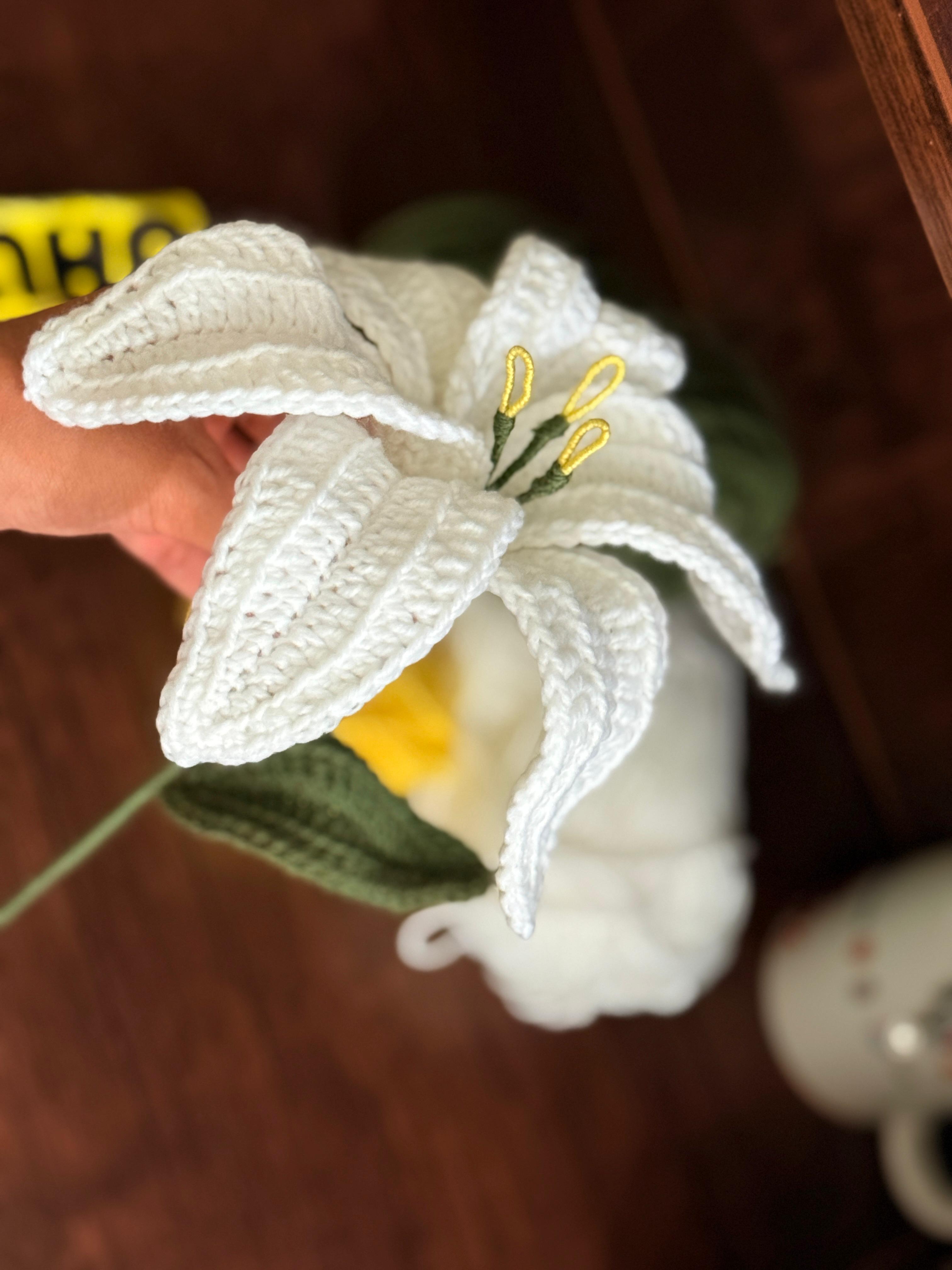 Lily Babe