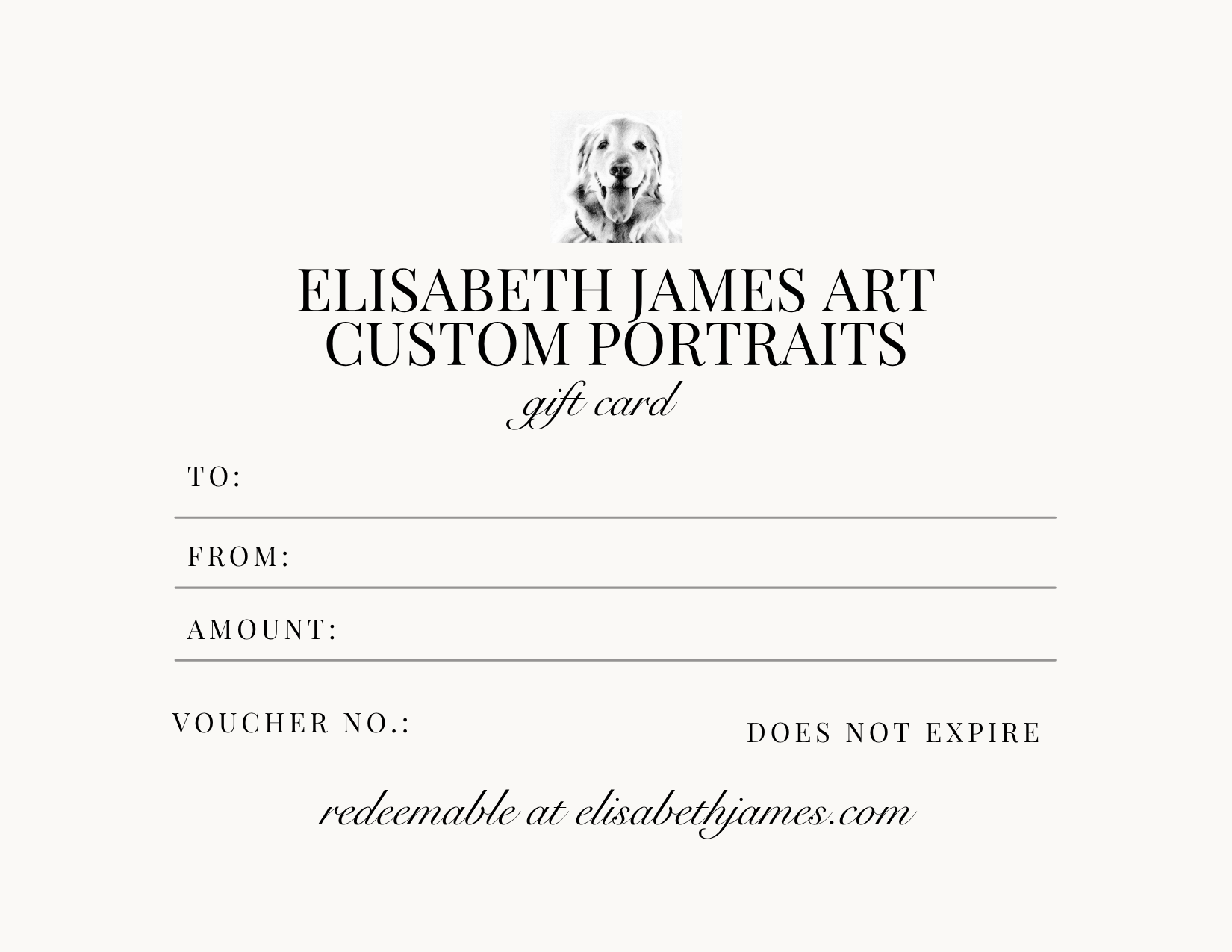 Gift Cards (50-300 USD)