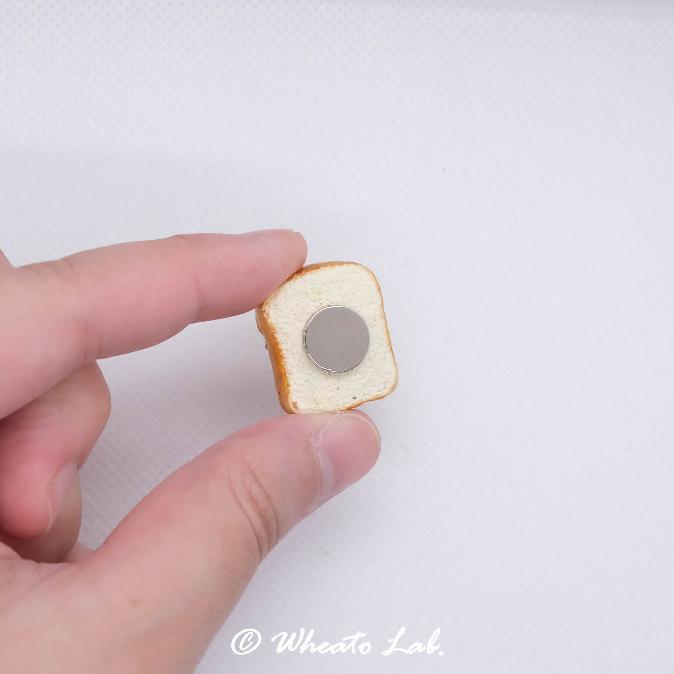 mini Toast Magnets