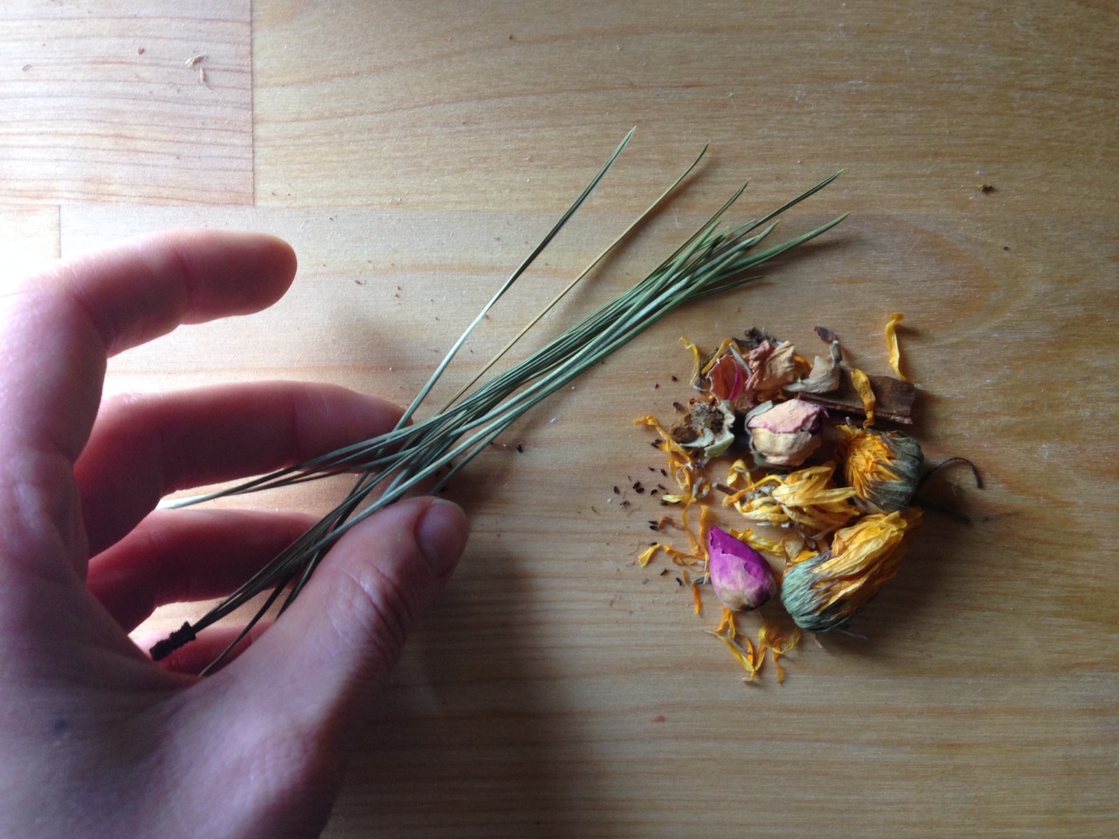 NORTH LONDON ACUPUNCTURE SESSION - New Patients