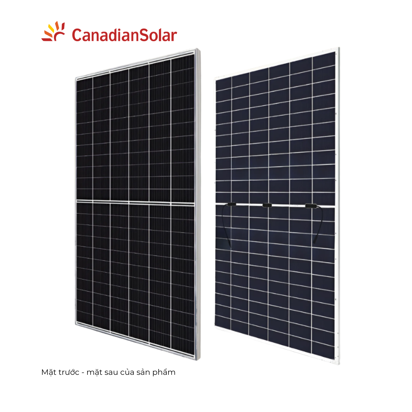 Tấm pin năng lượng mặt trời Canadian Solar 720W