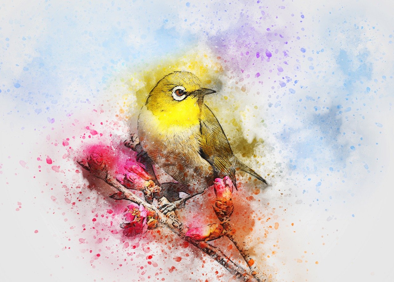 Watercolor Bird Art TEST PRODUCT
