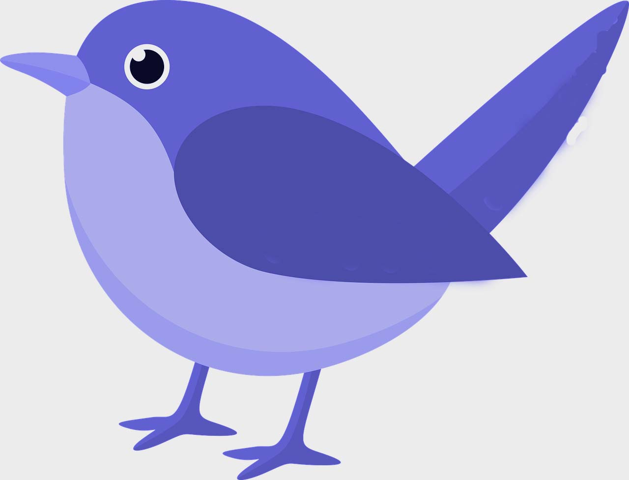 Watercolor Bird Art TEST PRODUCT