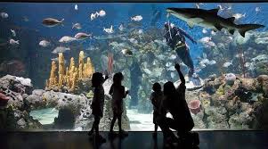  Temaikèn – Passeio ao Bioparque (Full Day)