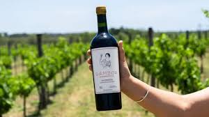 Experiência Gamboa – Vinhos, Gastronomia e Natureza