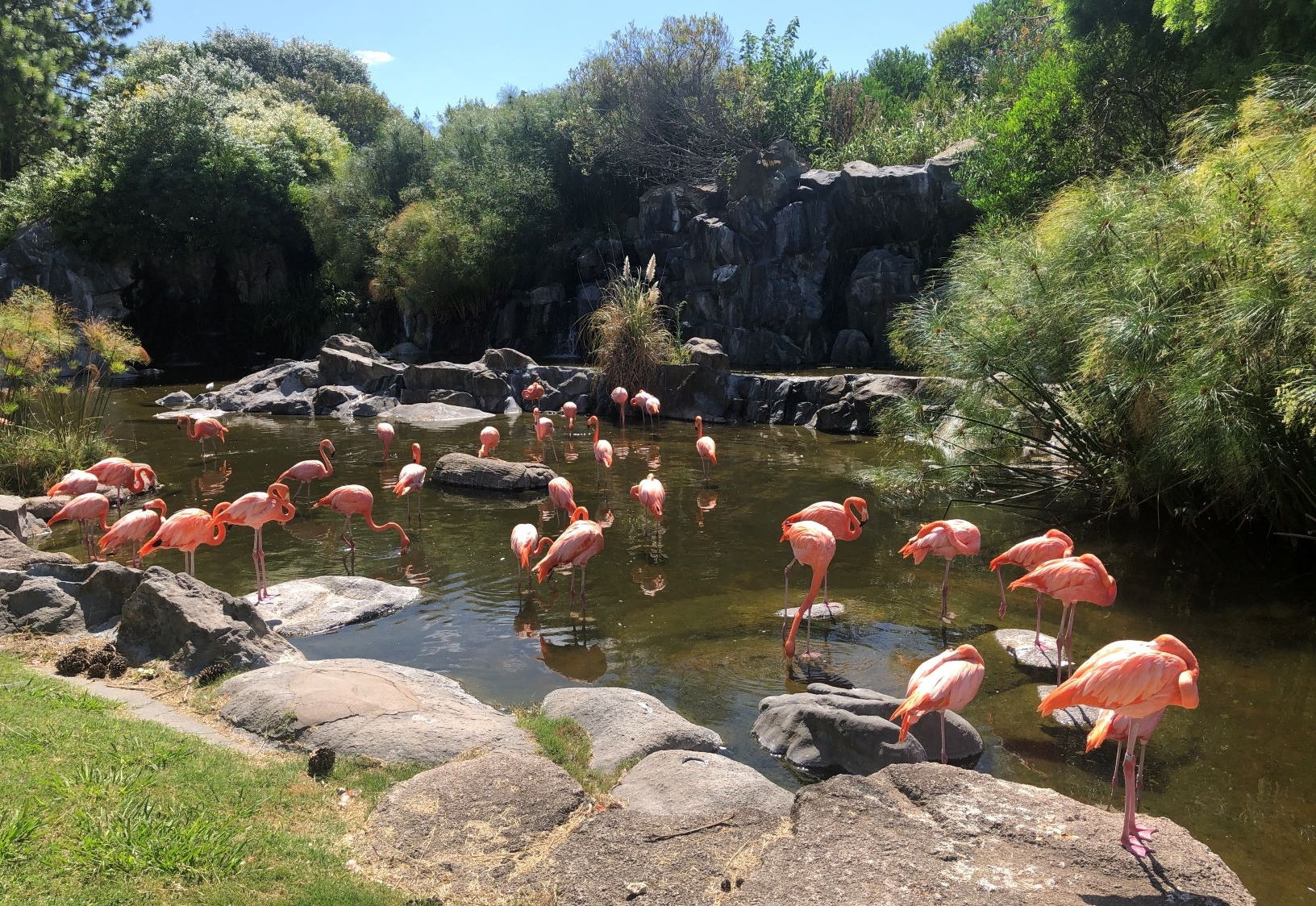 Temaikèn – Passeio ao Bioparque (Full Day)