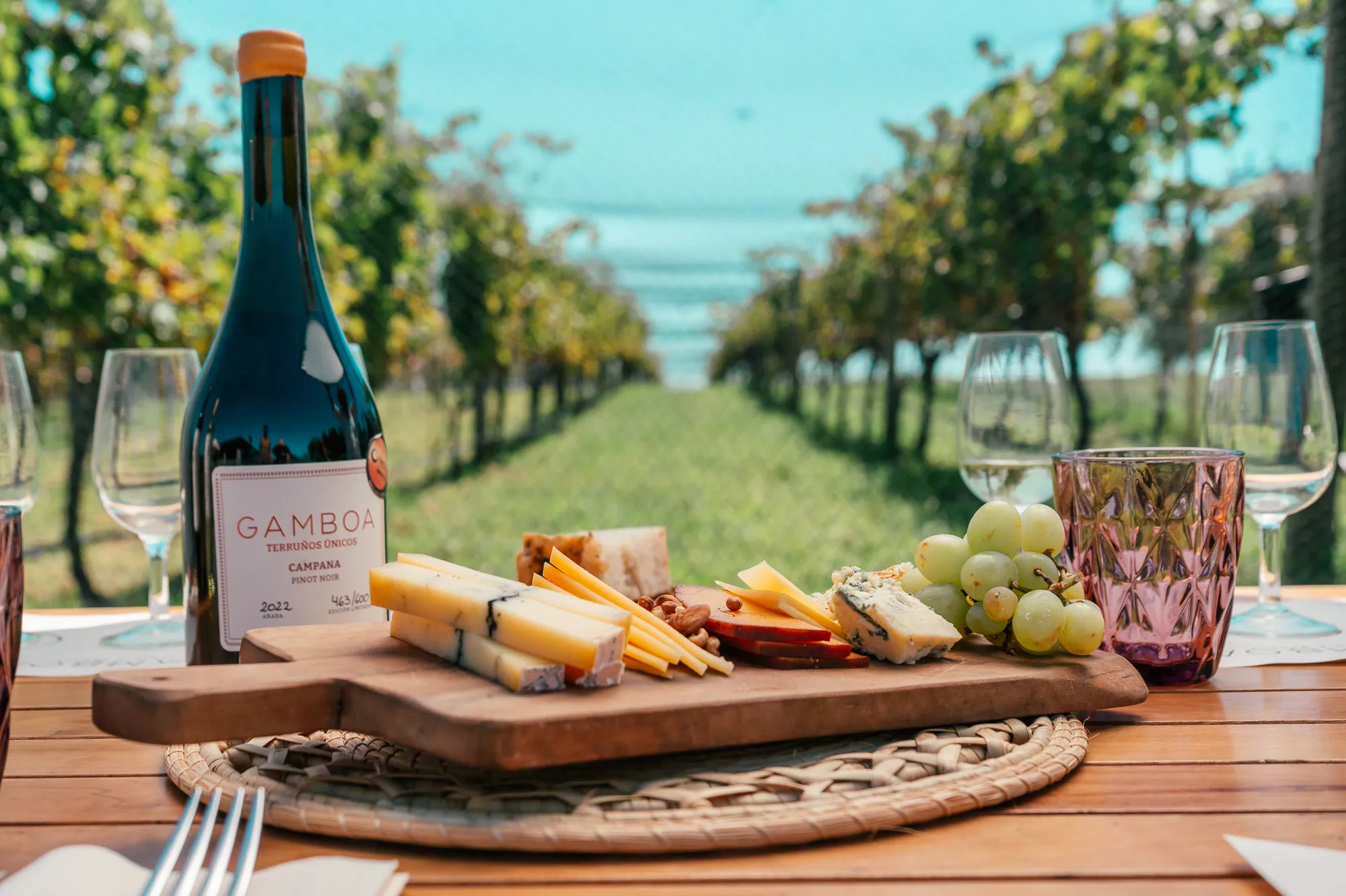 Experiência Gamboa – Vinhos, Gastronomia e Natureza