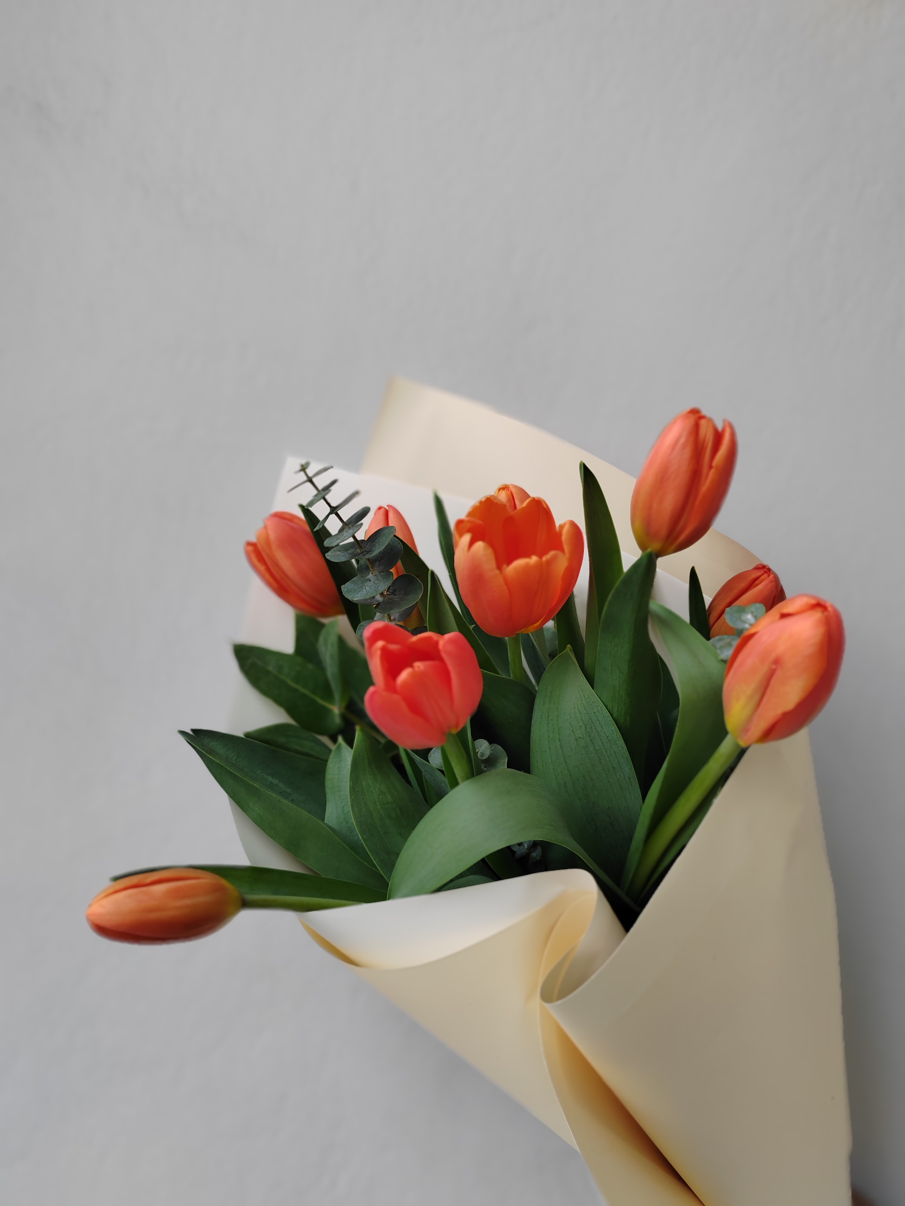 Ramo de 10 tulipanes naranjas