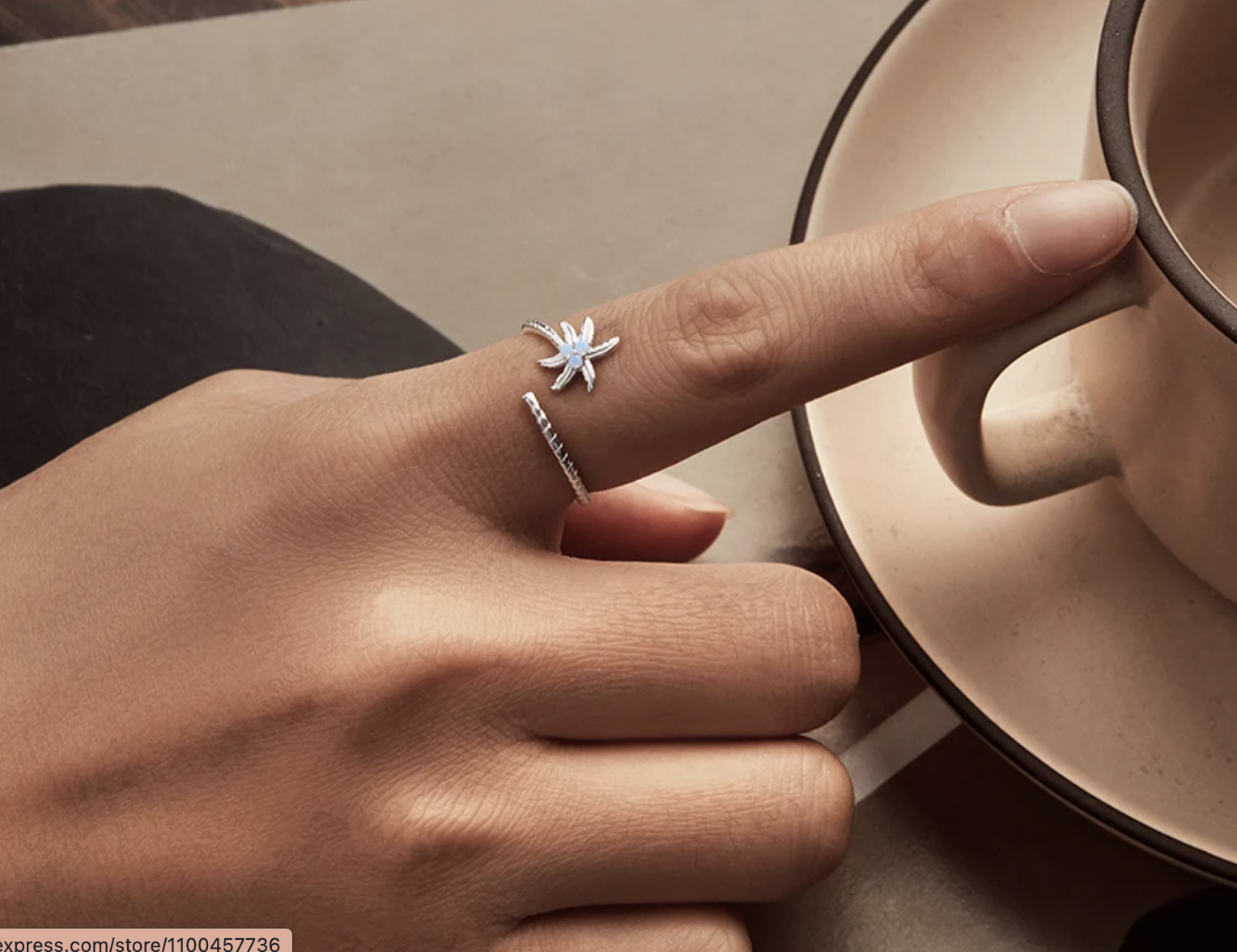 Palmera del Paraíso