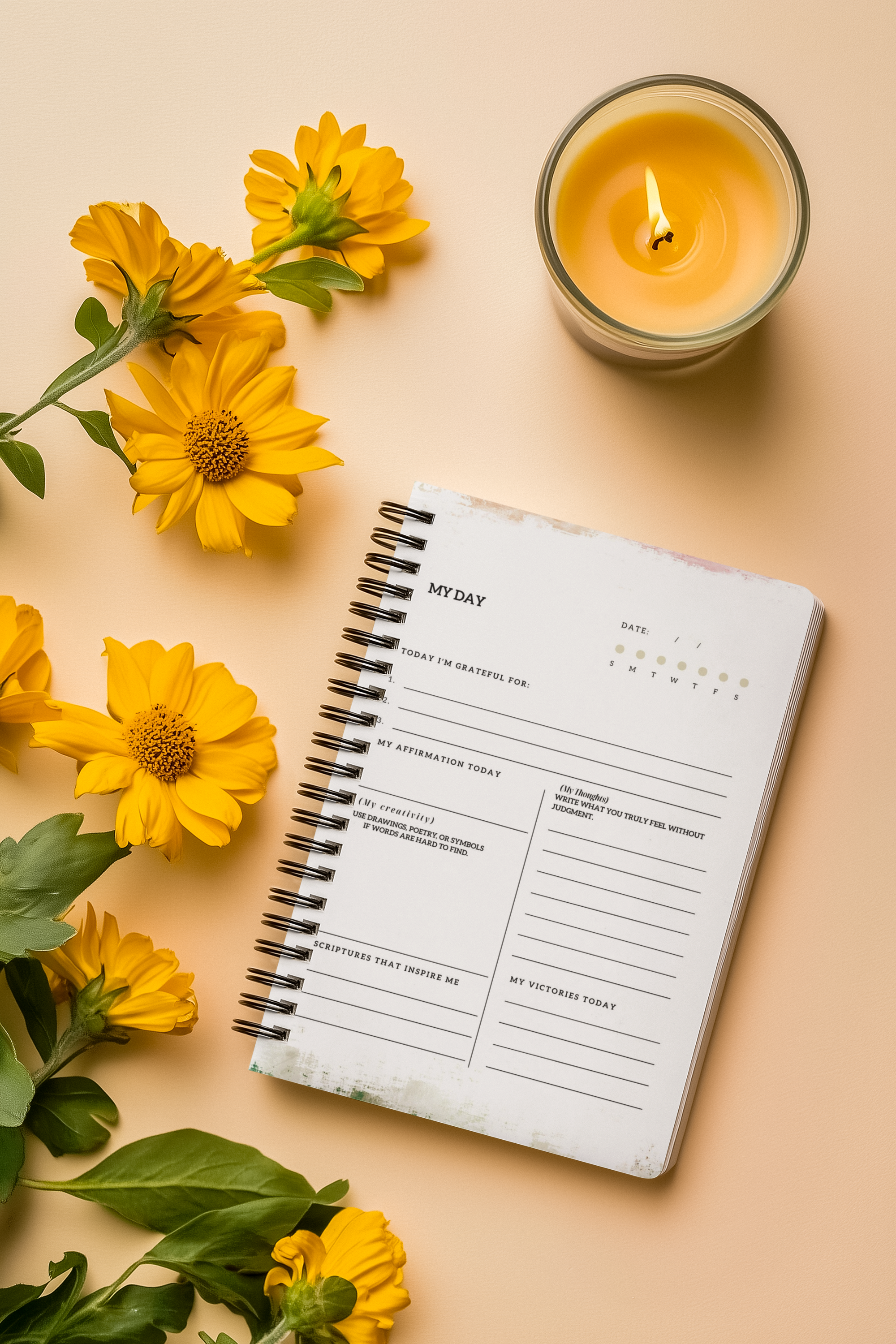 Beauty for Ashes 12-Week Guided Journal - Spiral