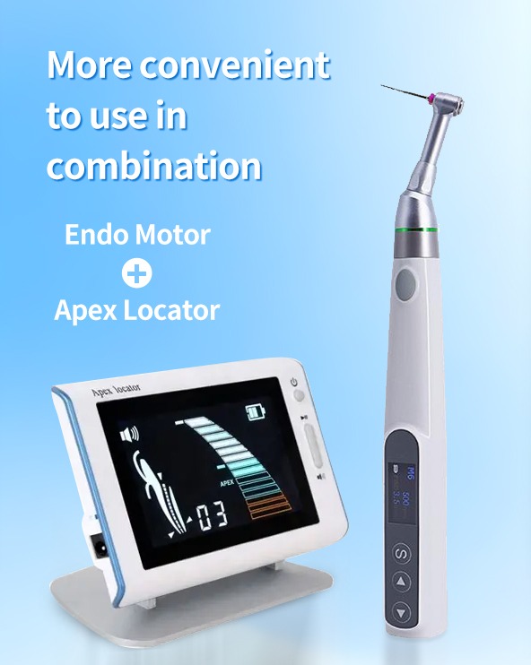 Endo Motor and Apex Locator