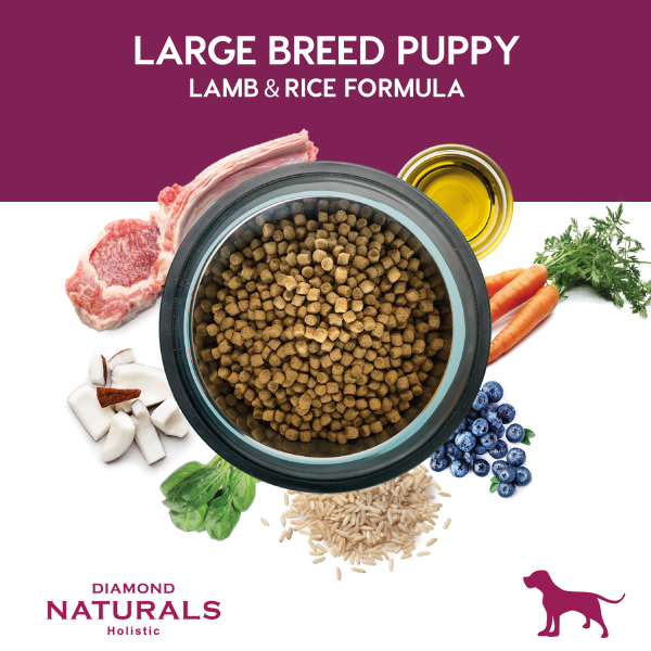 Diamond Naturals Large Breed Puppy