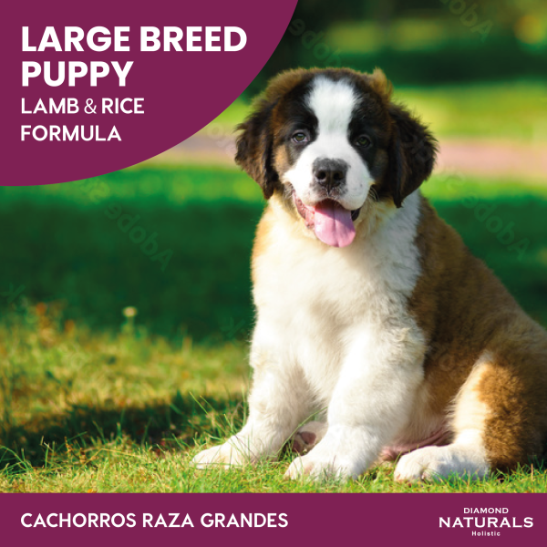 Diamond Naturals Large Breed Puppy
