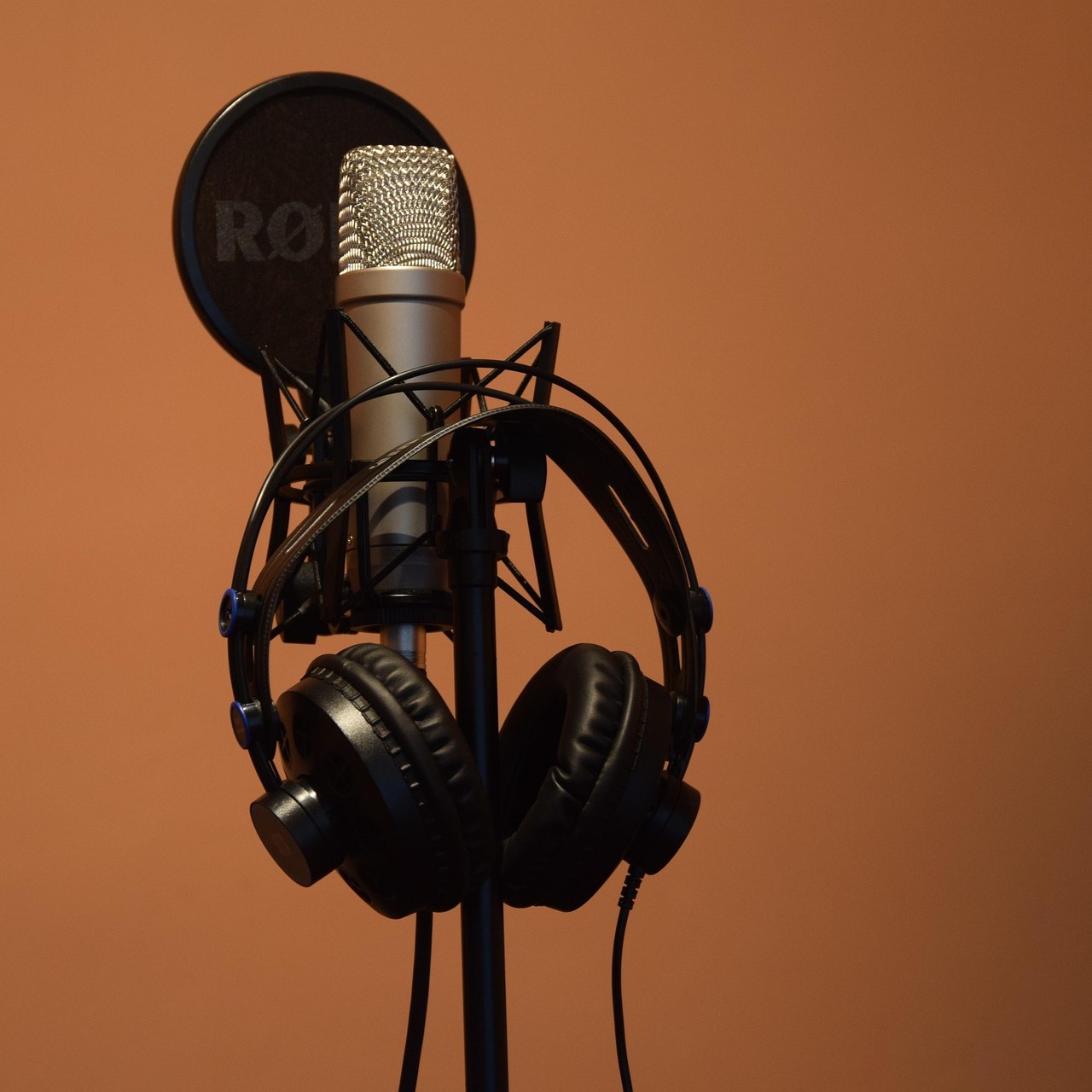 ШКОЛА ТЕЛЕ-РАДИО ВЕДУЩИХ