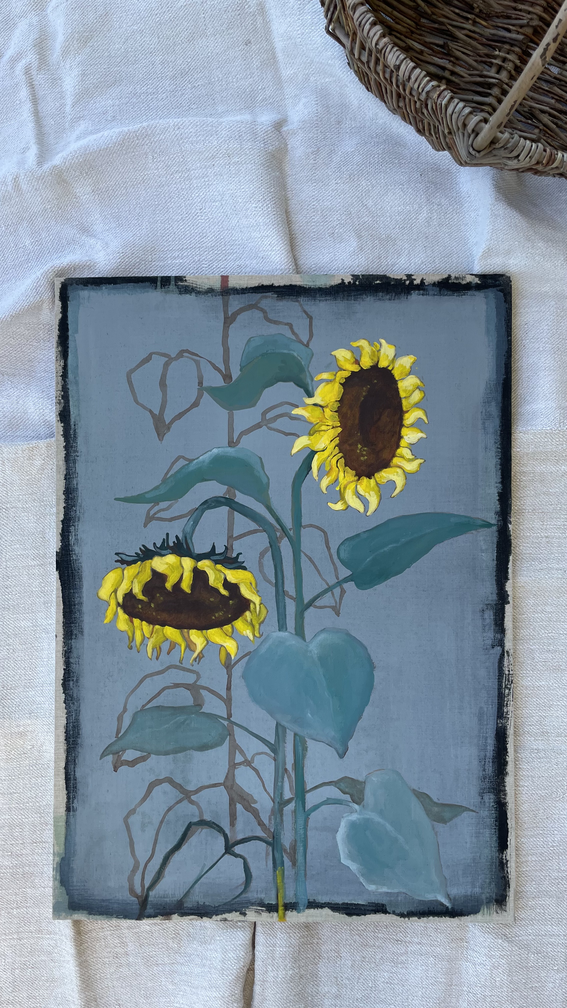 Sunflower 