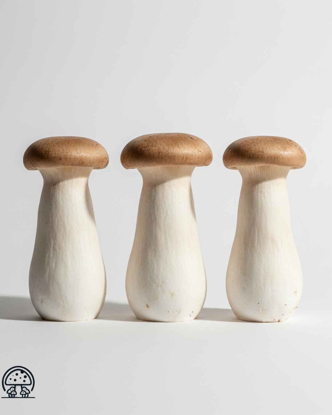 Pleurote de Panicaut (Eryngii)