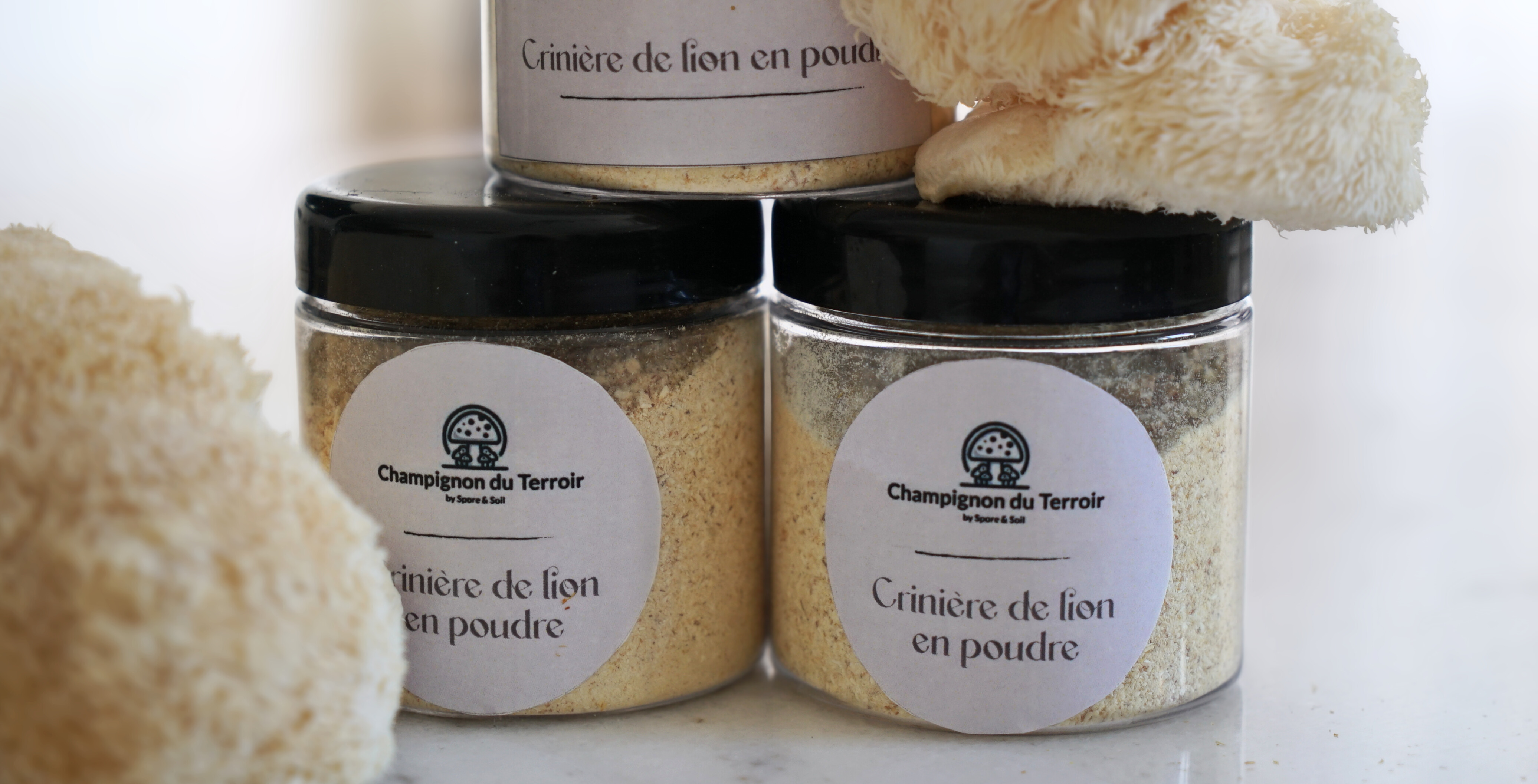 Poudre de Crinière de lion
