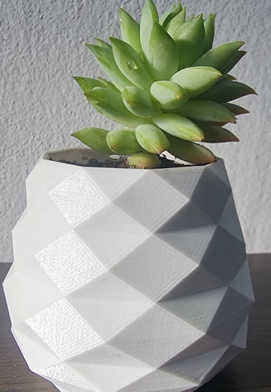 Maceta 3D con diseño geométrico: 🌱 Ideal para suculentas