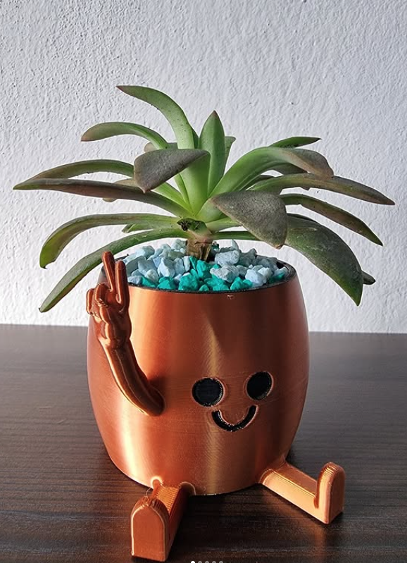 Maceta divertida 🪴 Perfecta para suculentas
