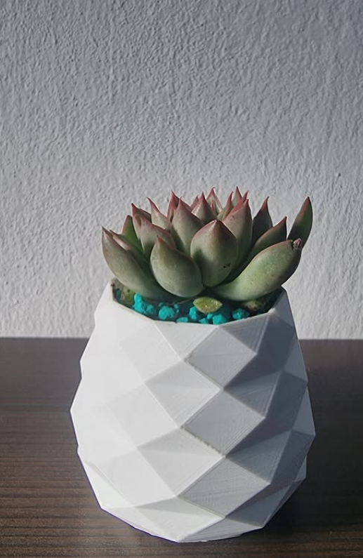 Maceta 3D con diseño geométrico: 🌱 Ideal para suculentas