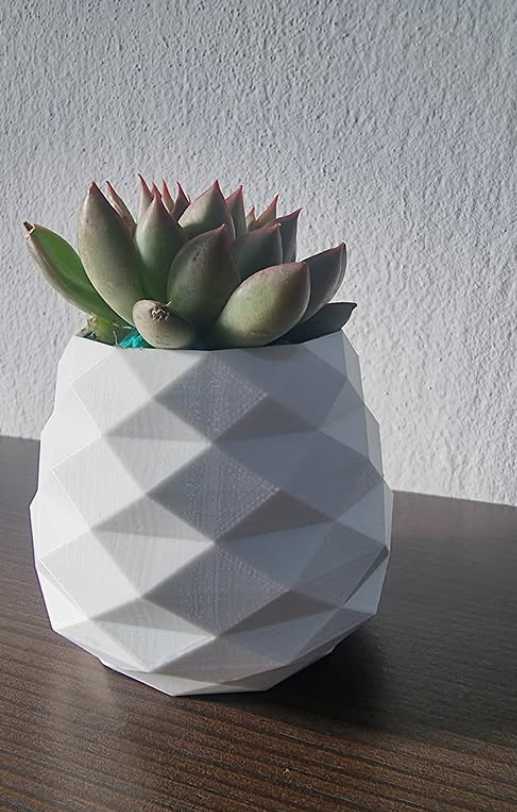 Maceta 3D con diseño geométrico: 🌱 Ideal para suculentas