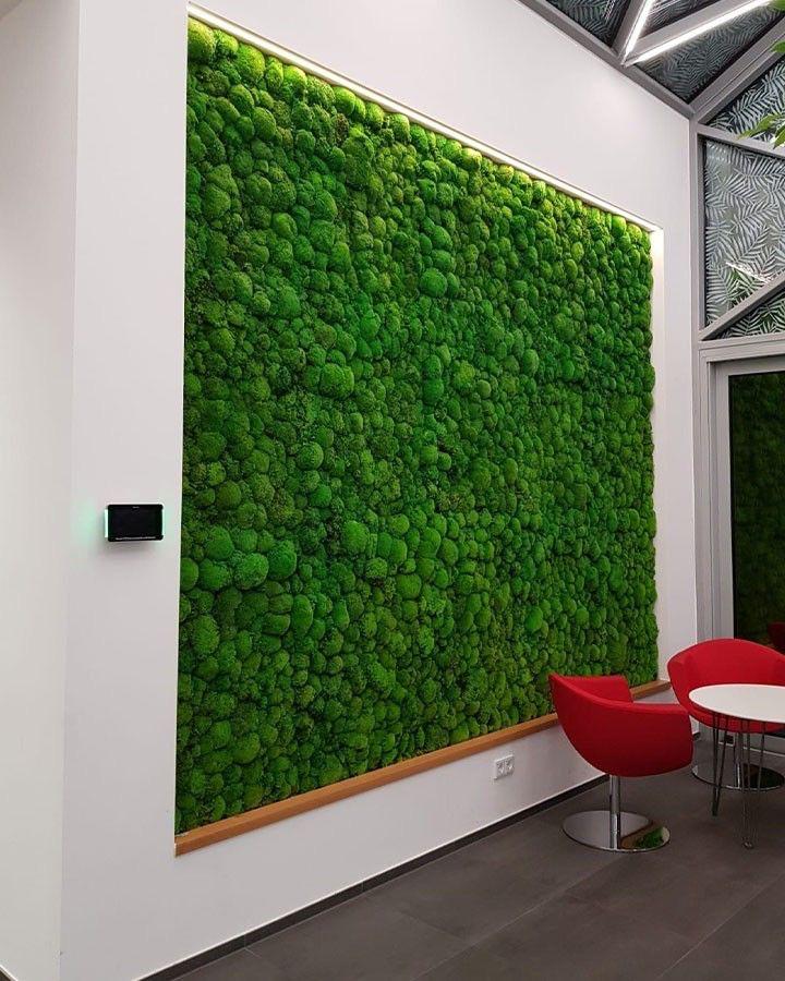 Mosswall 1m x 1m