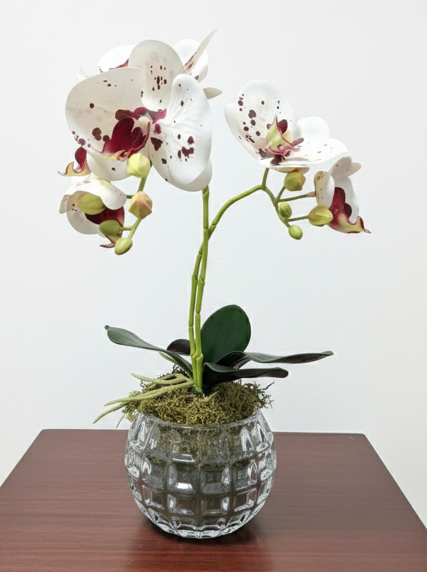 Orchidėja stiklo vazone
