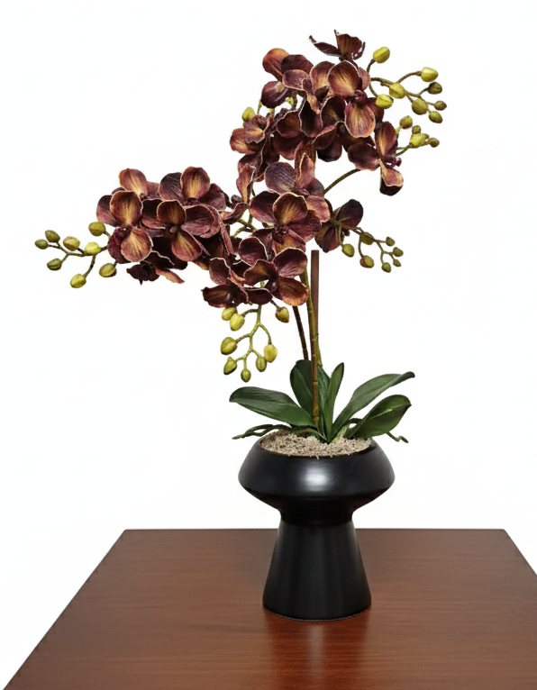 Dirbtinė orchidėja juodame vazone