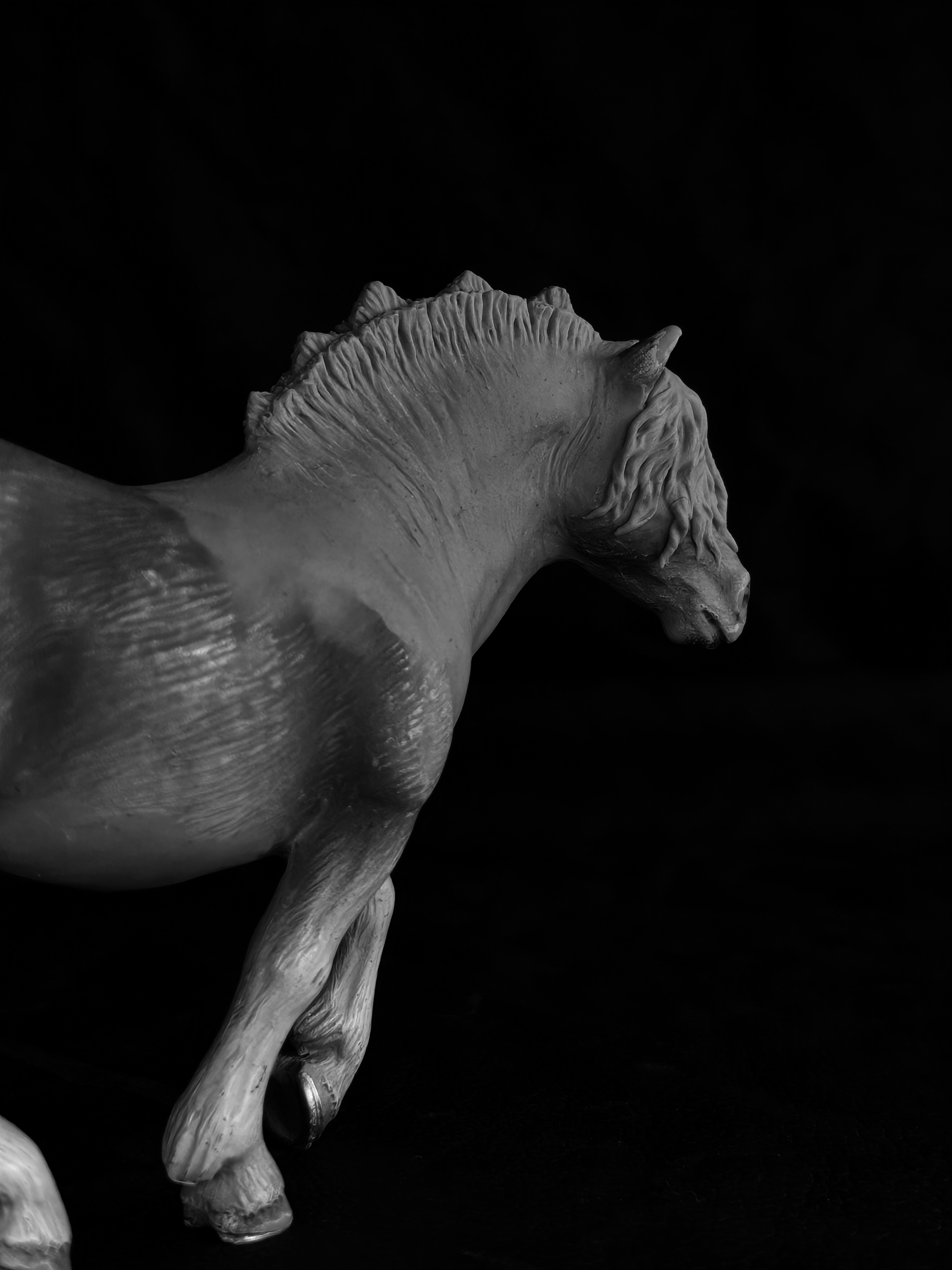 Schleich Haflinger to Fjord Stallion