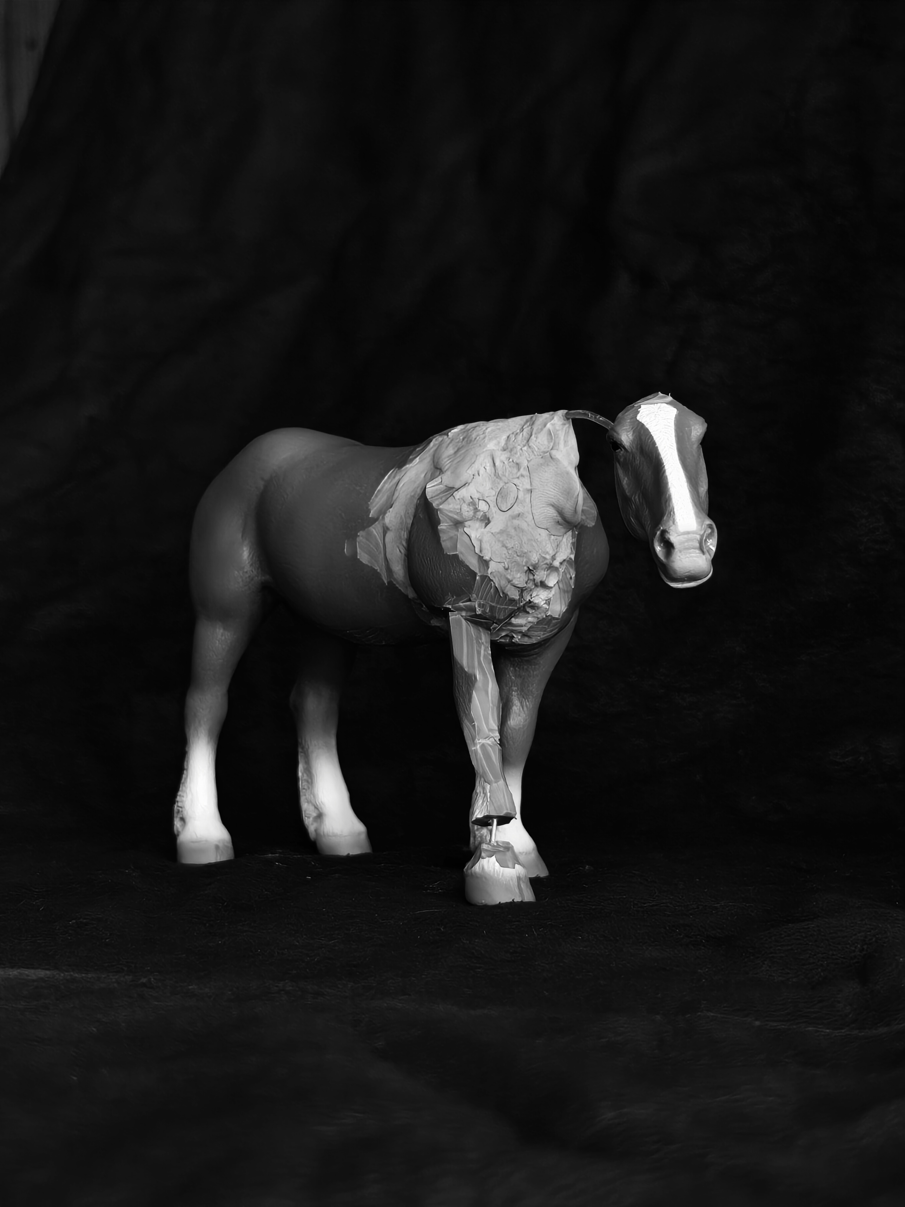 Upcoming November piece - Collecta Drafter