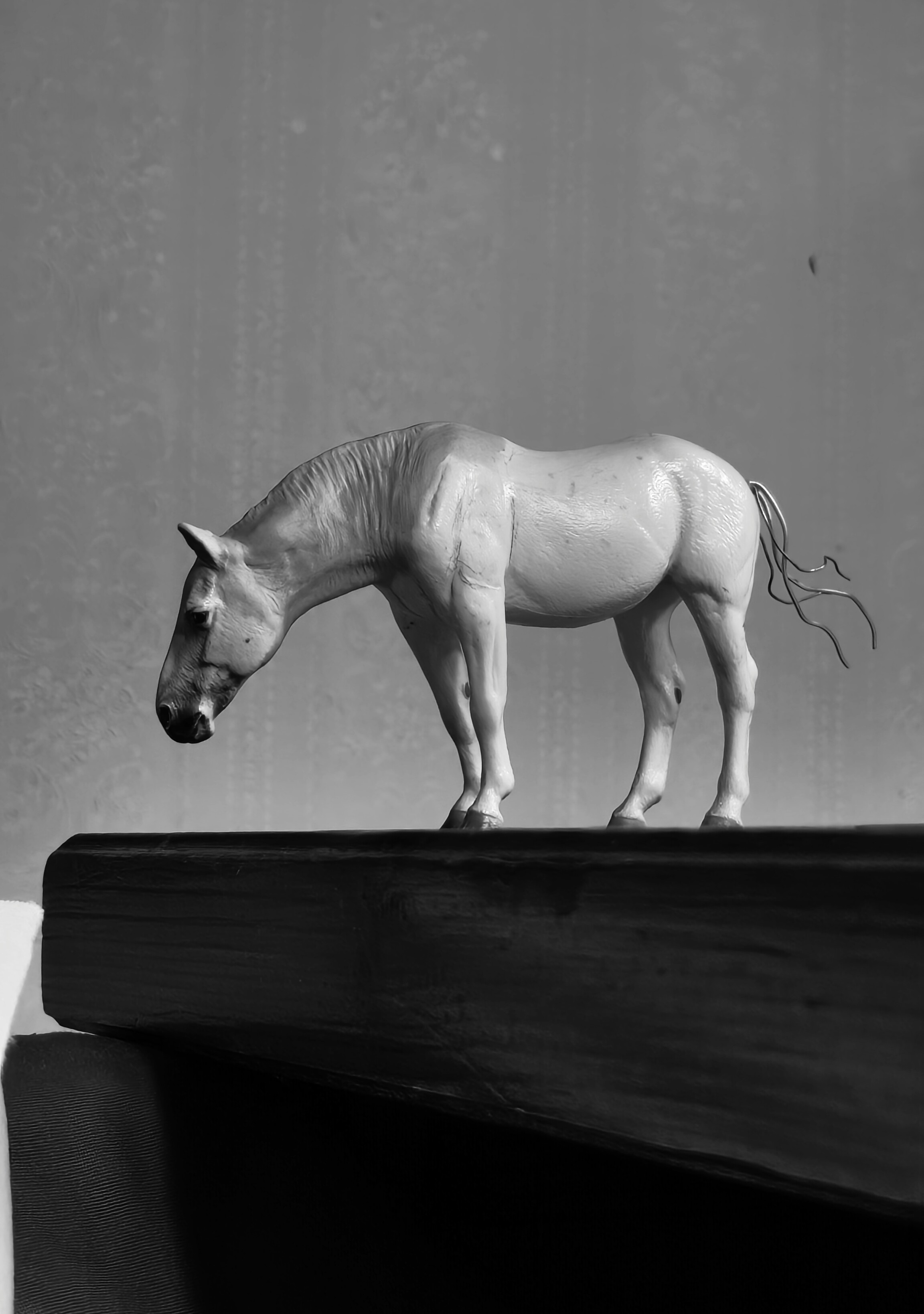 Surprise Horse: Collecta Camargue 