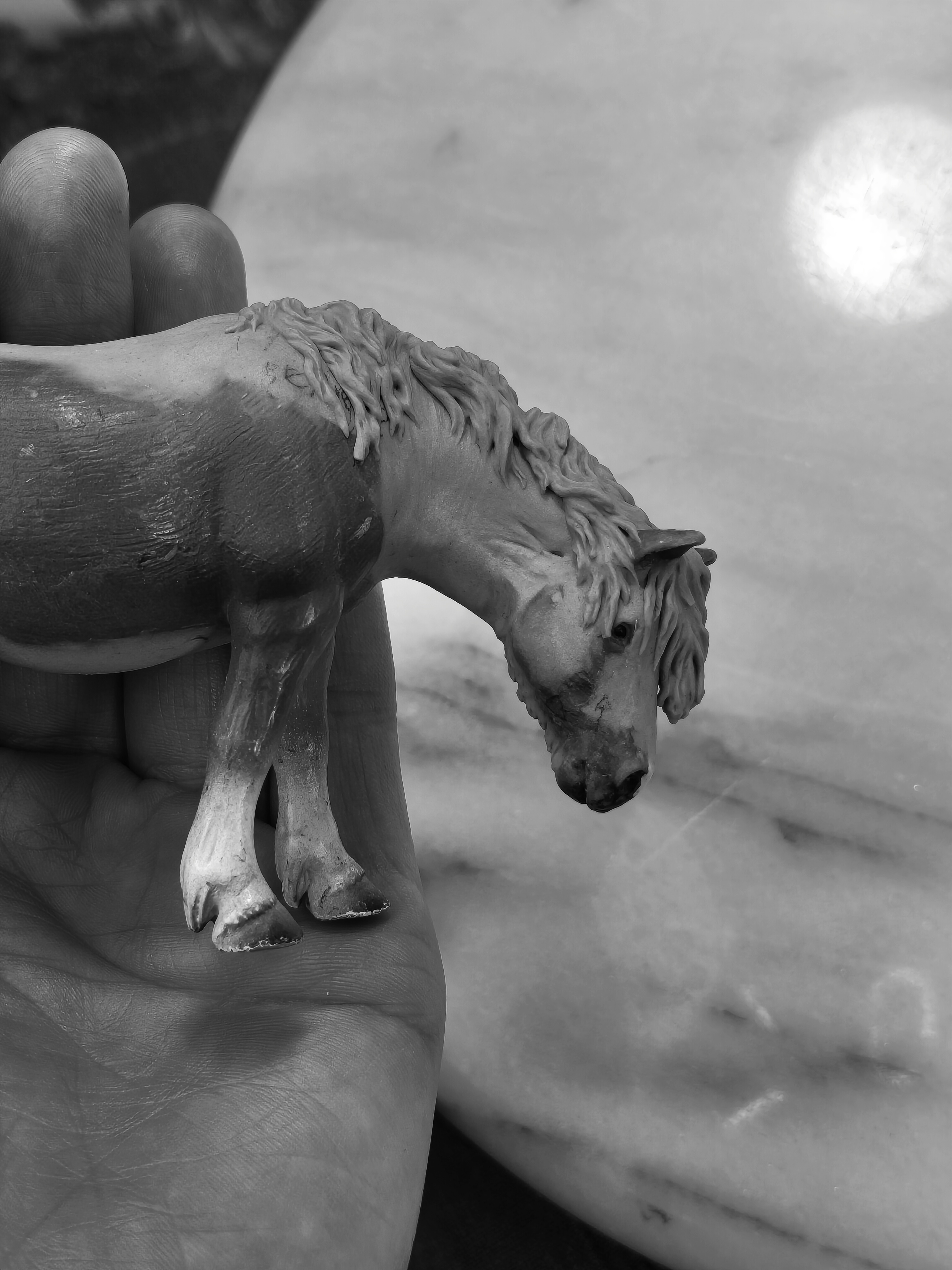 Schleich Haflinger to long maned Fjord - December 3/3