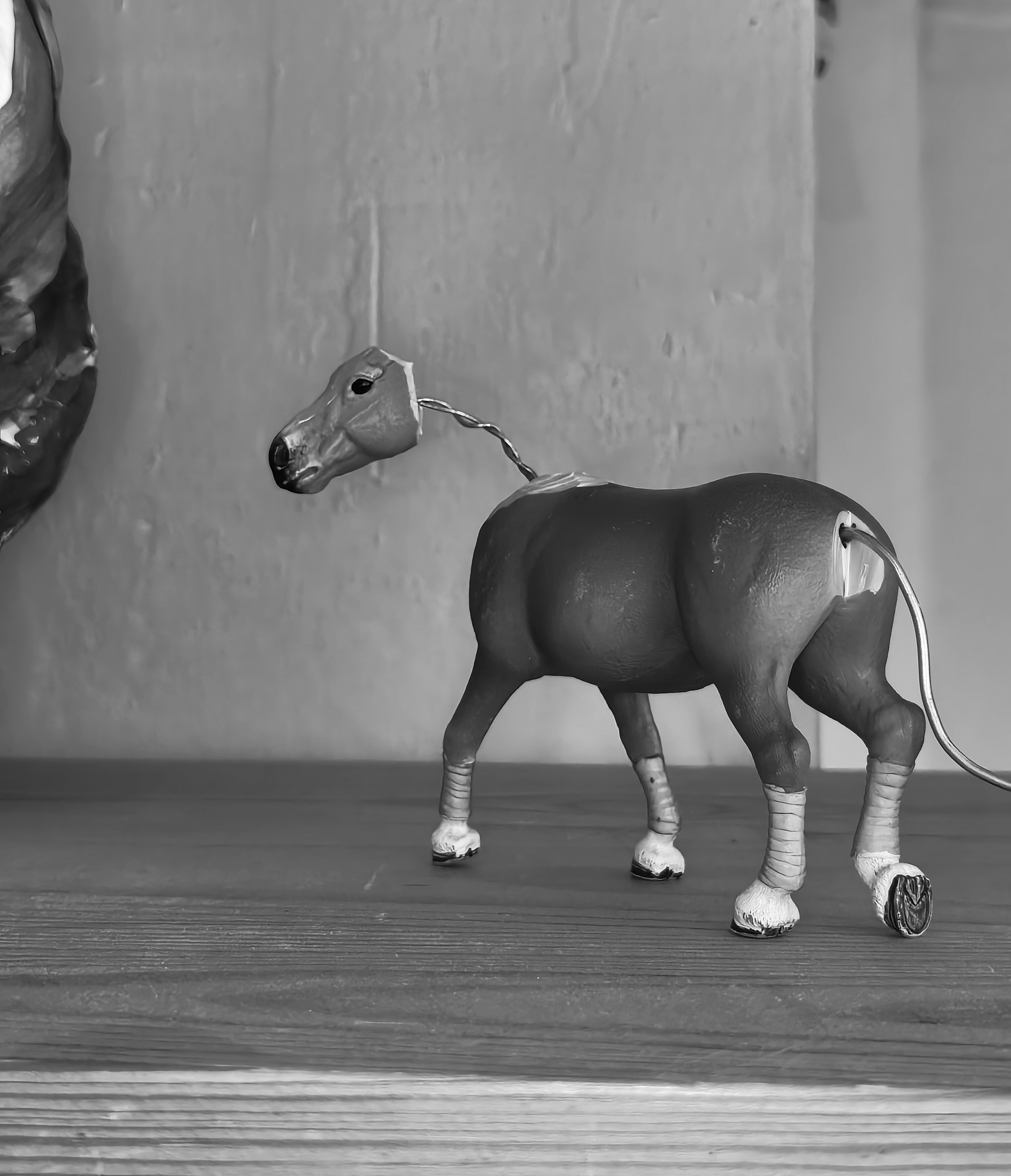 Schleich Pony