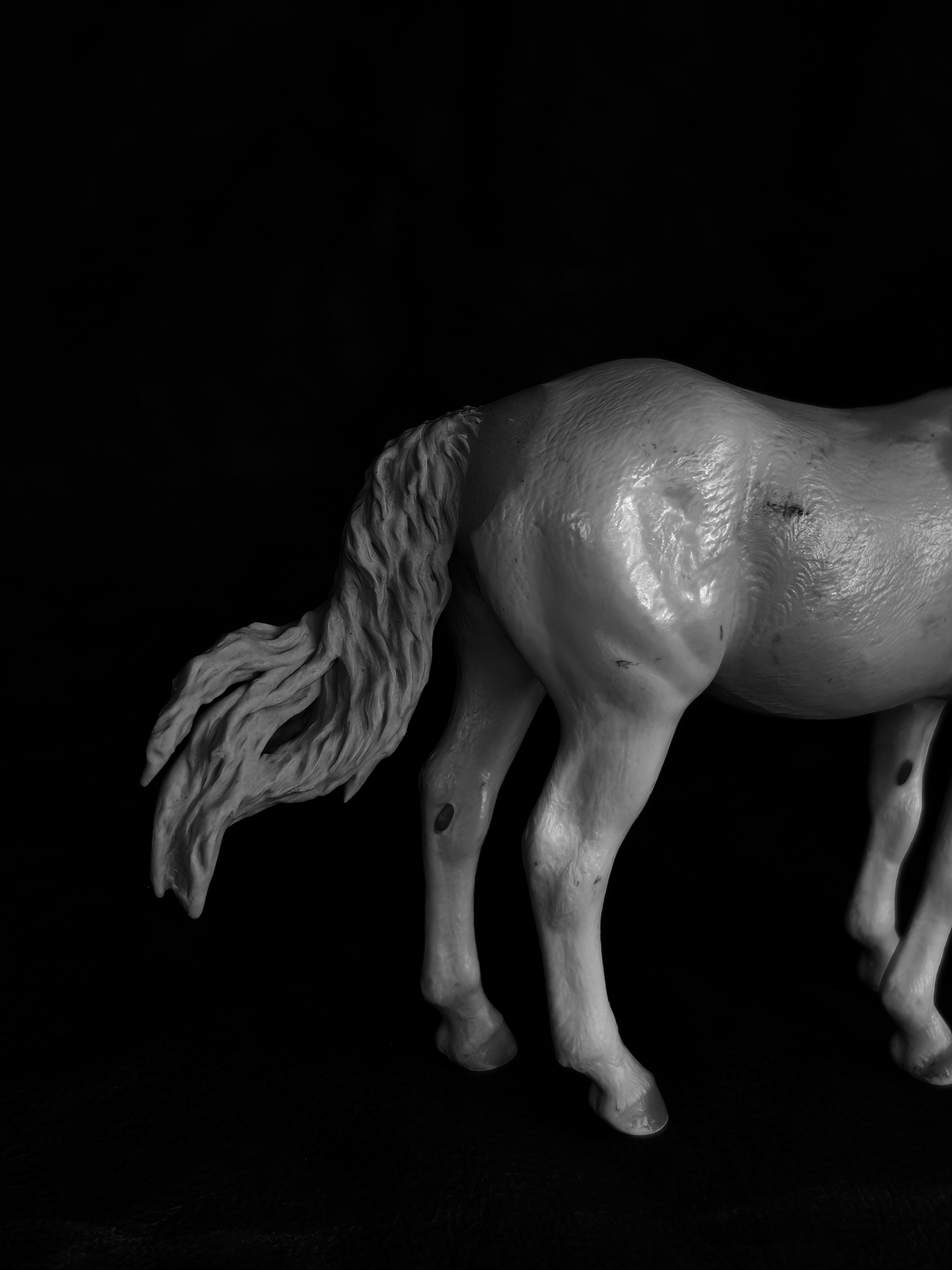 Surprise Horse: Collecta Camargue 