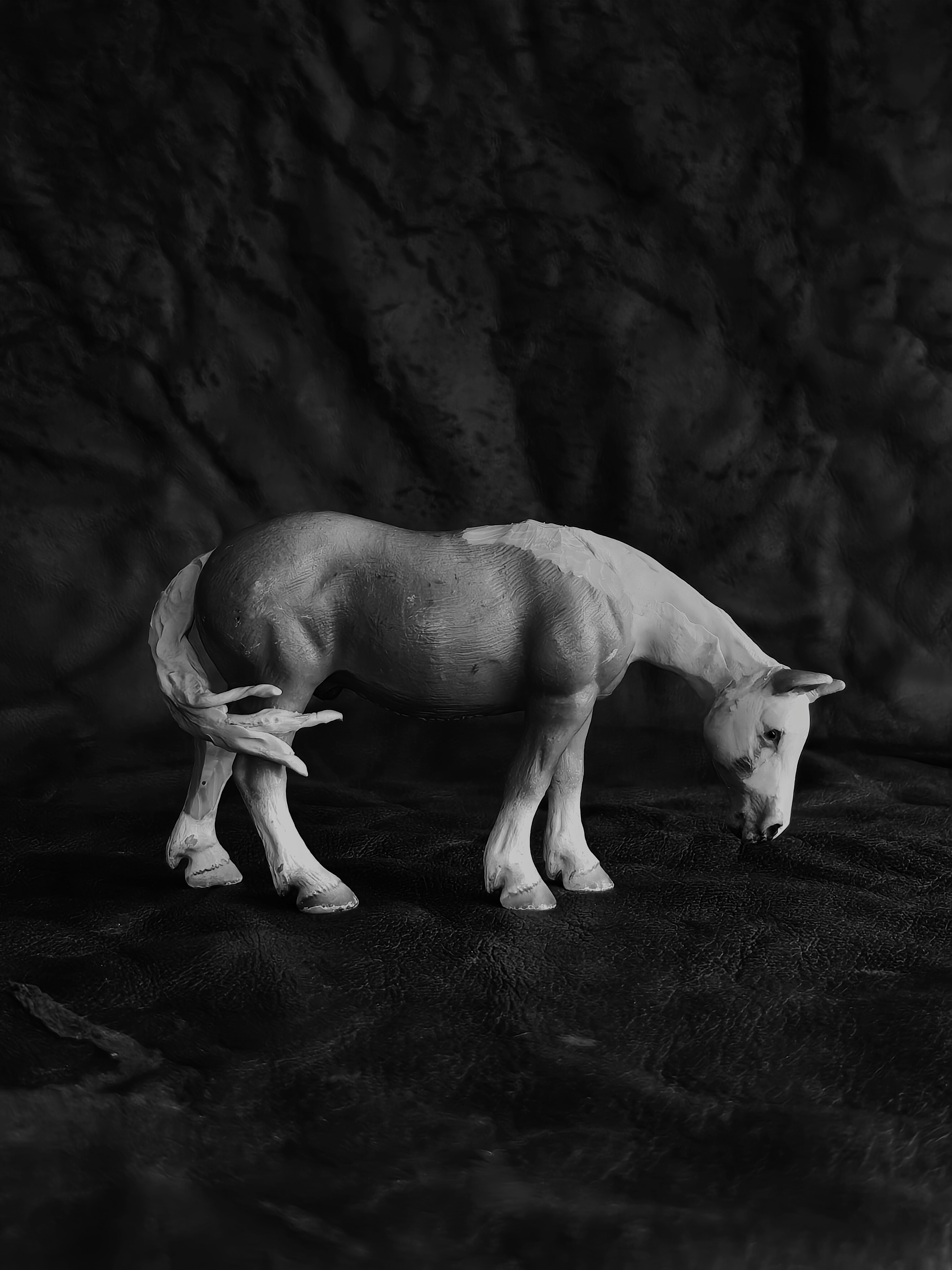 Schleich Haflinger to Grazing Fjord 