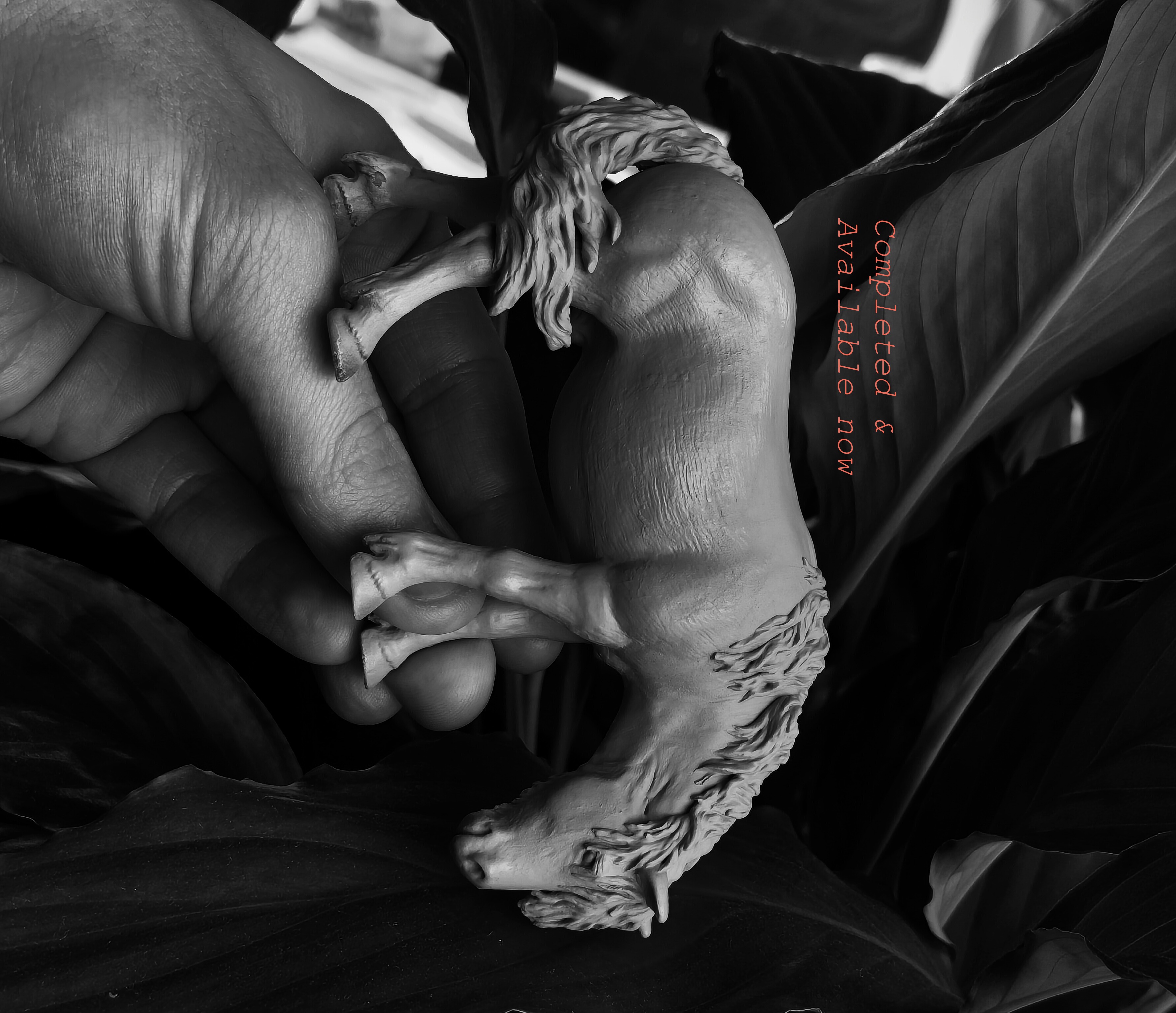 Schleich Haflinger to long maned Fjord - December 3/3